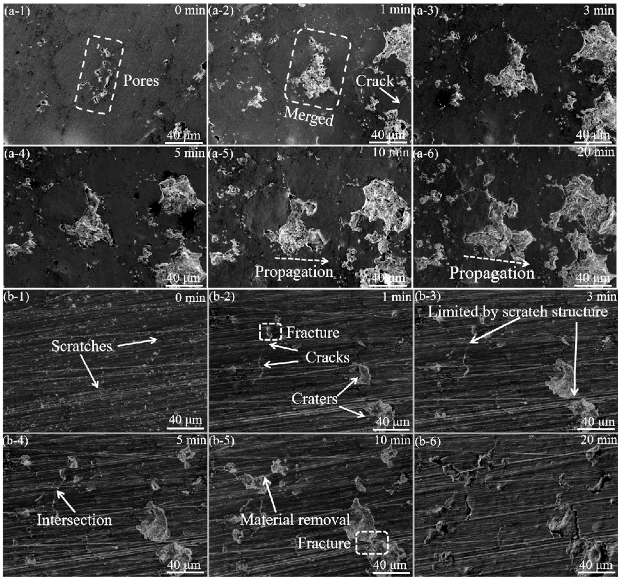 Materials 16 01392 g007 550