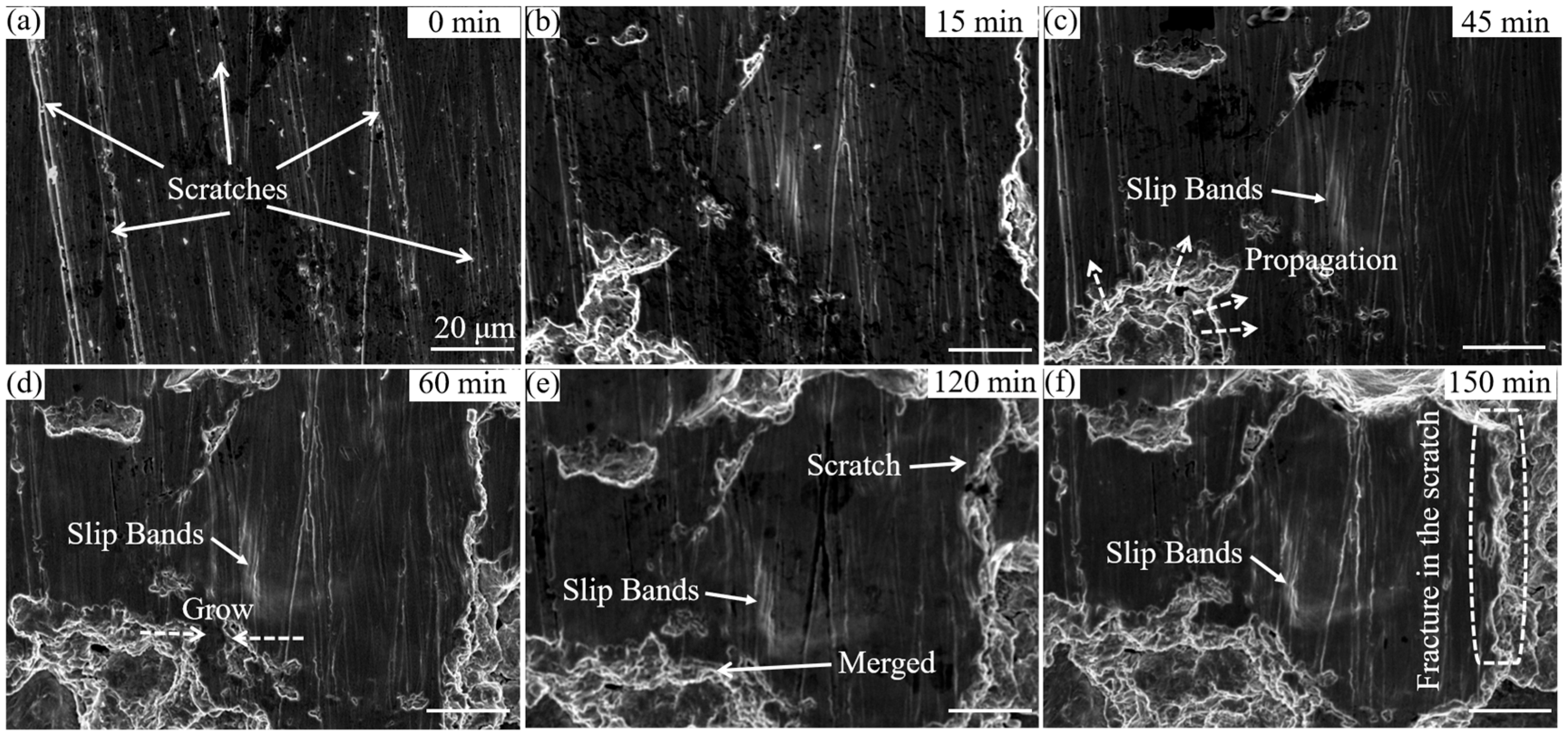 Materials 16 01392 g008 550