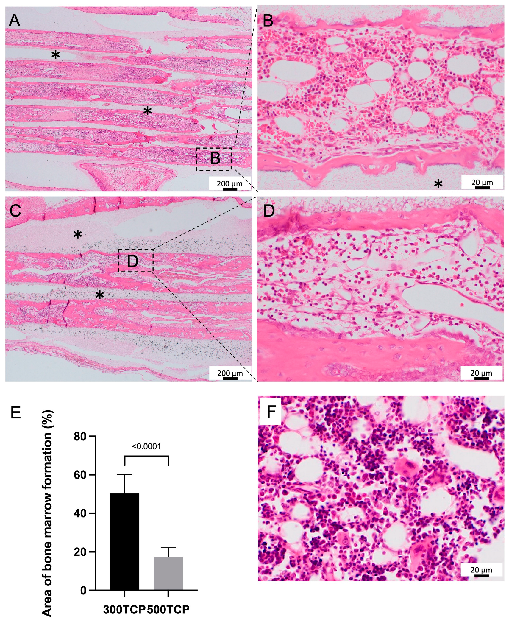 Materials 16 01393 g002