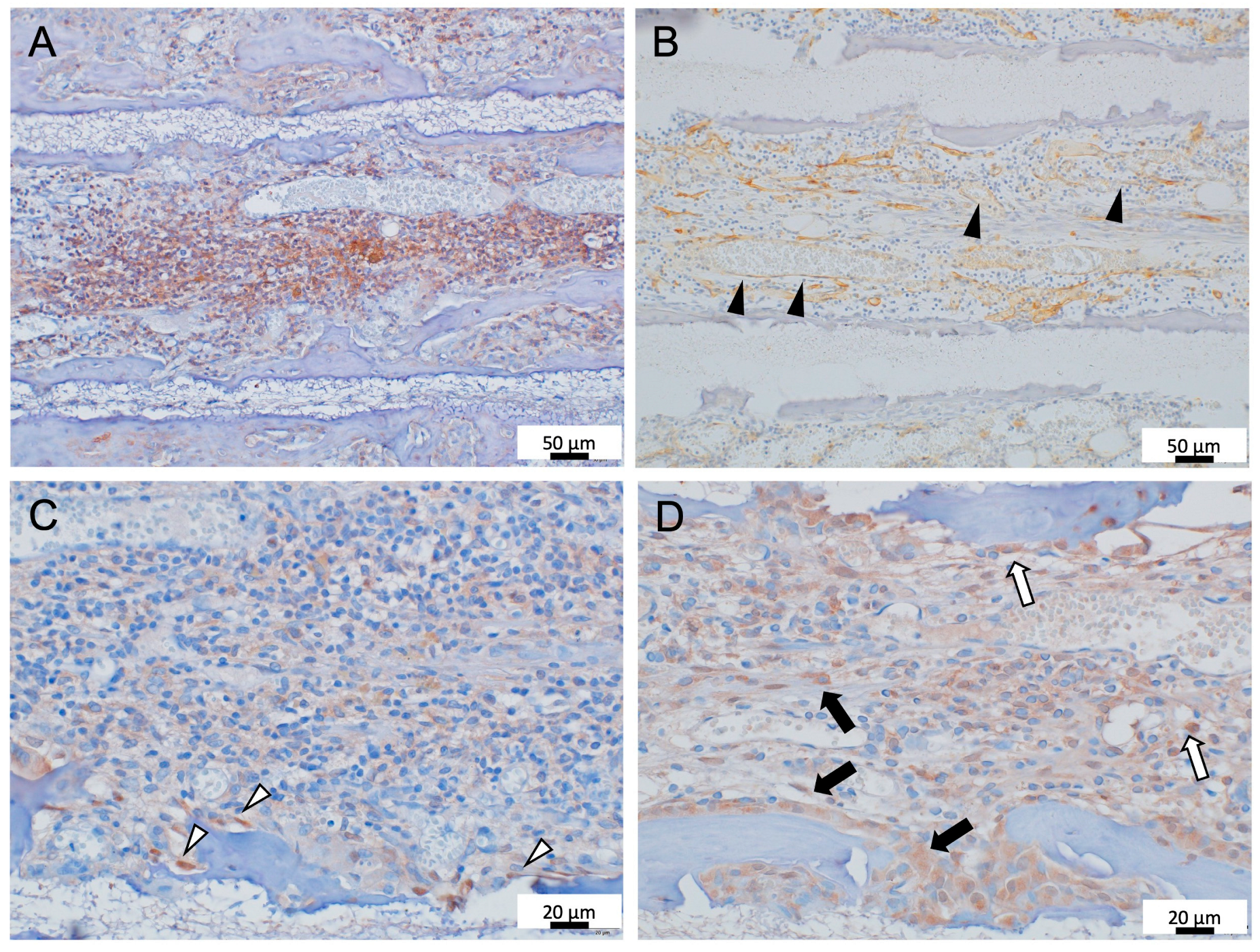 Materials 16 01393 g003