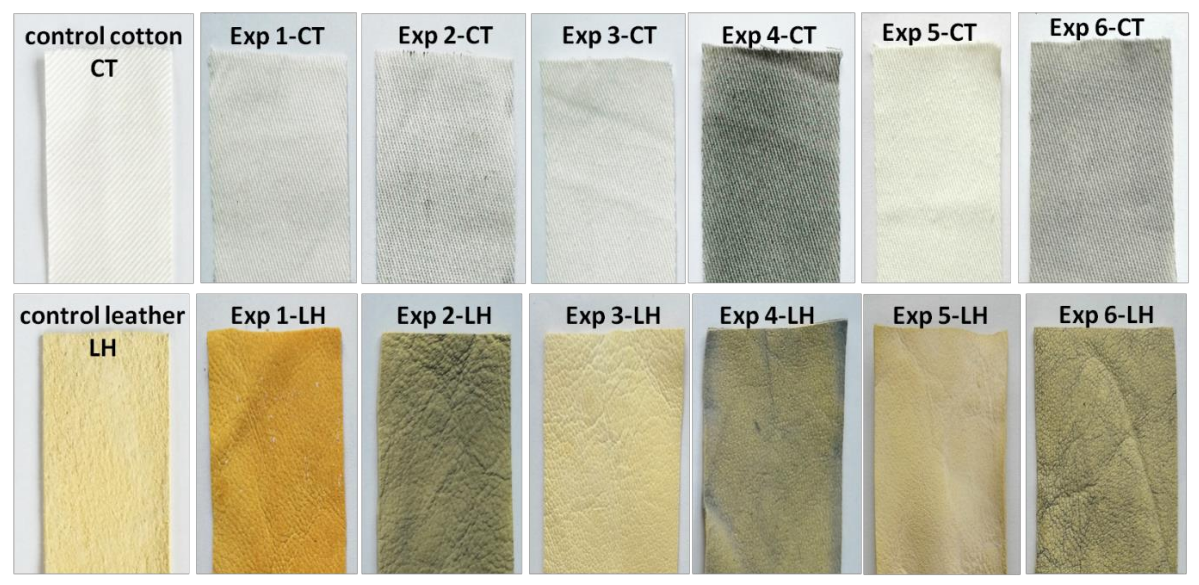 Materials 16 01397 g005