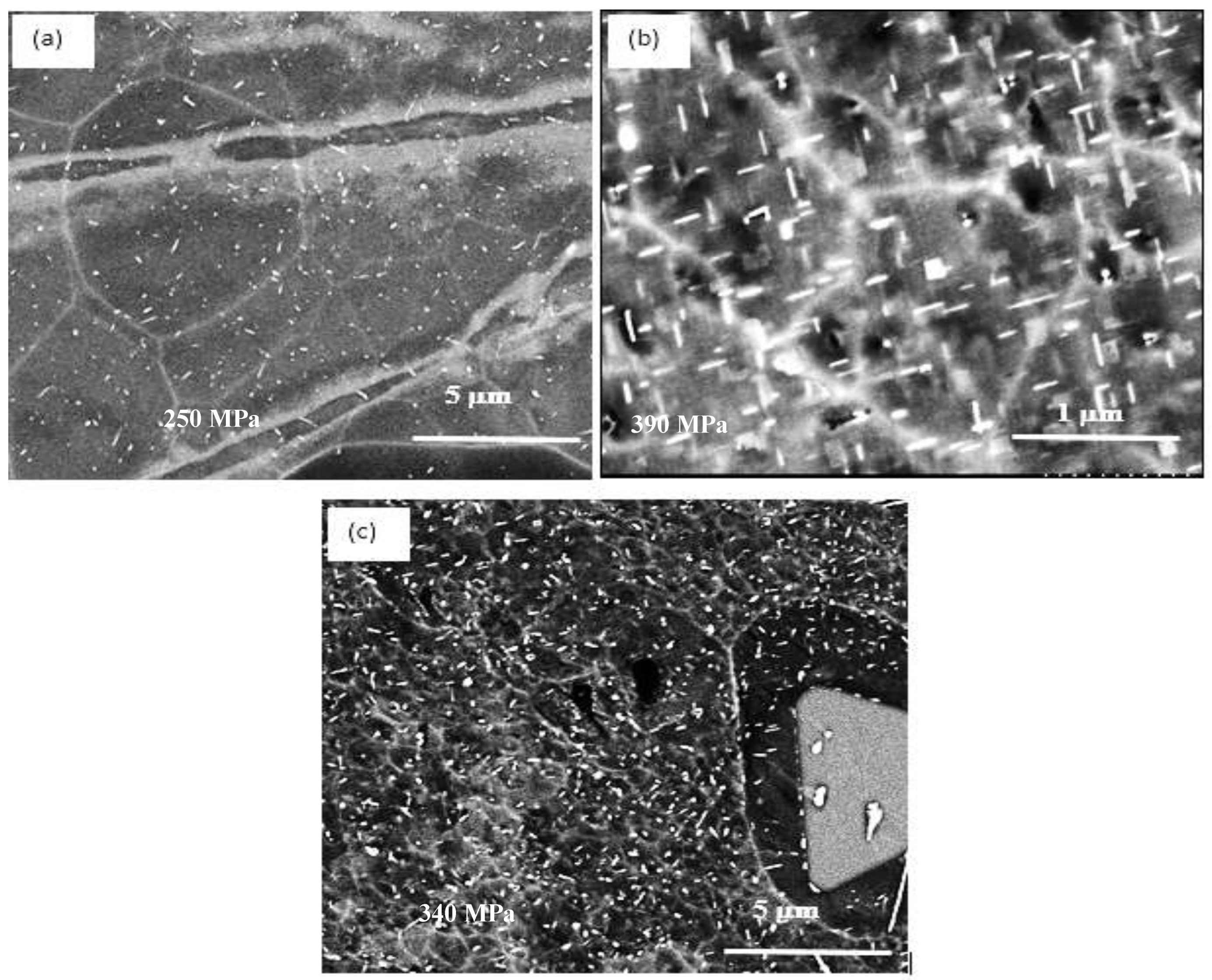 Materials 16 01400 g008