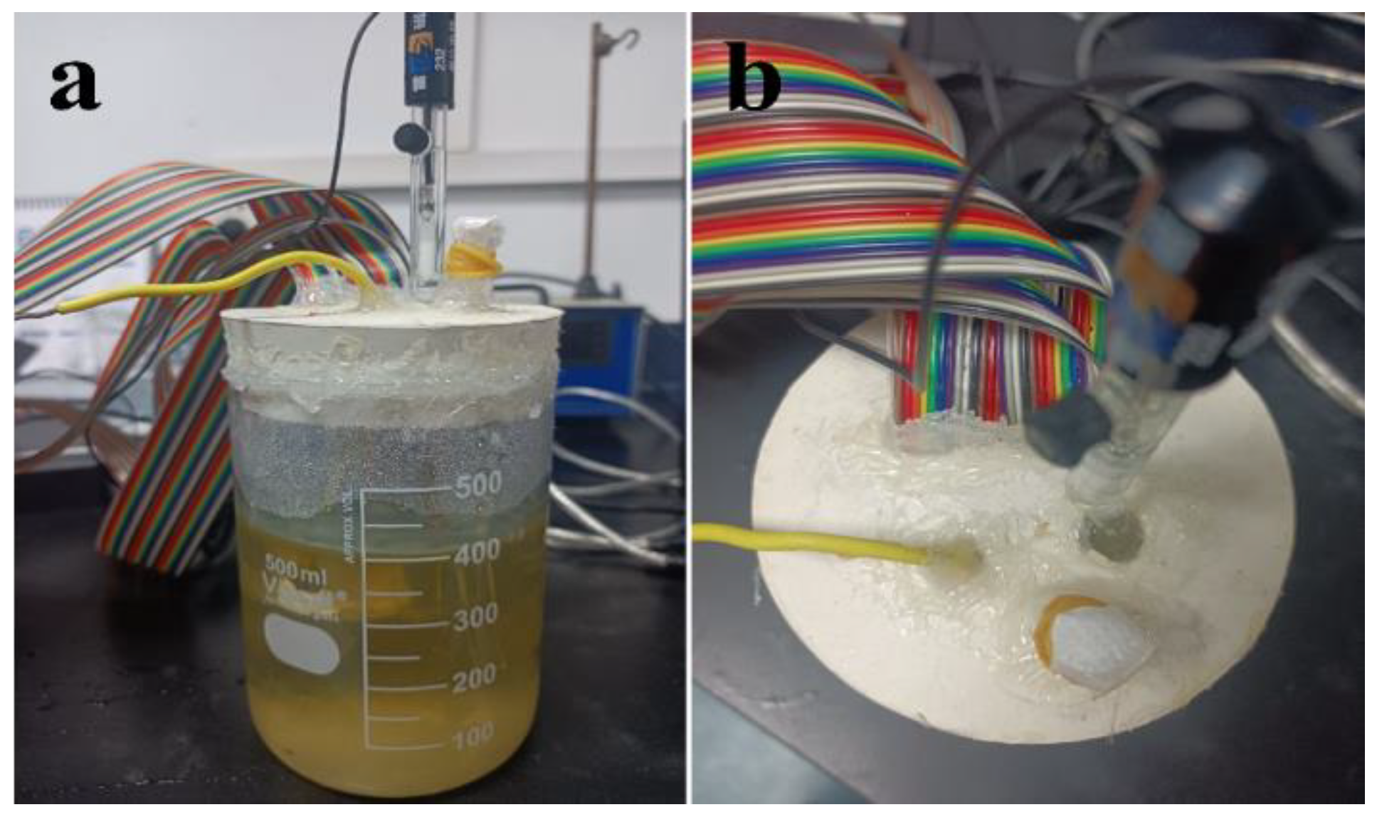 Materials 16 01402 g002