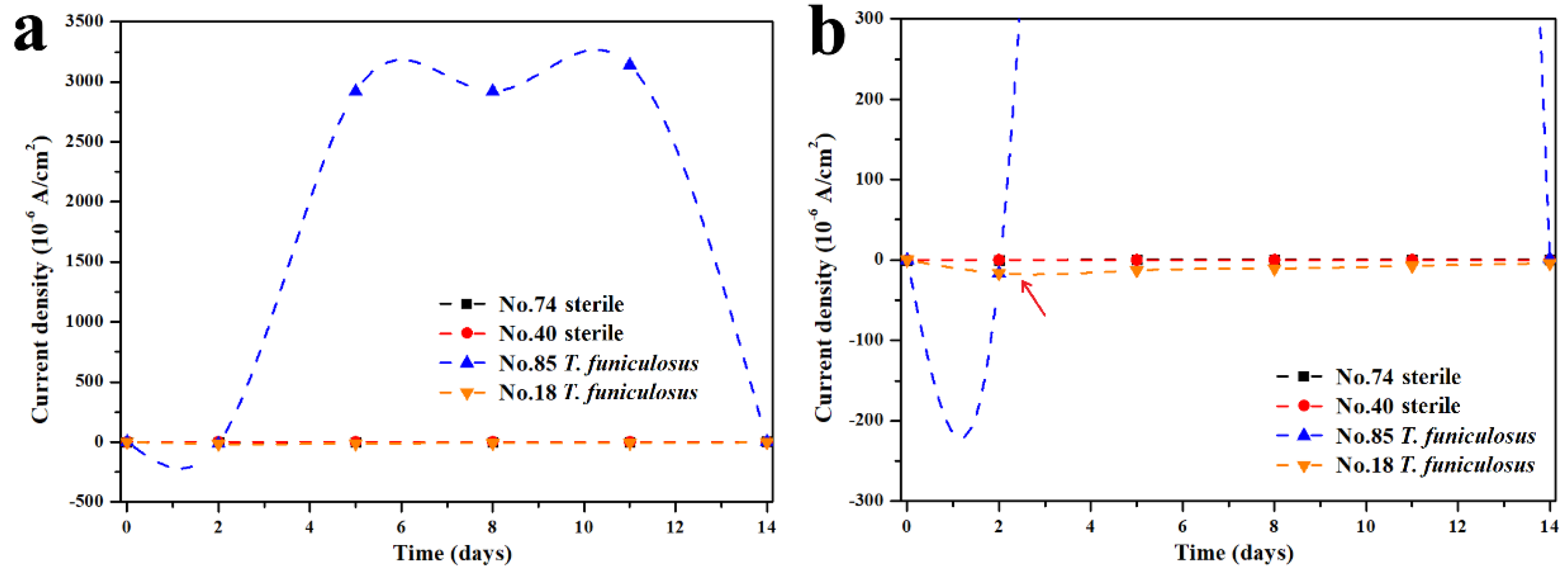 Materials 16 01402 g005