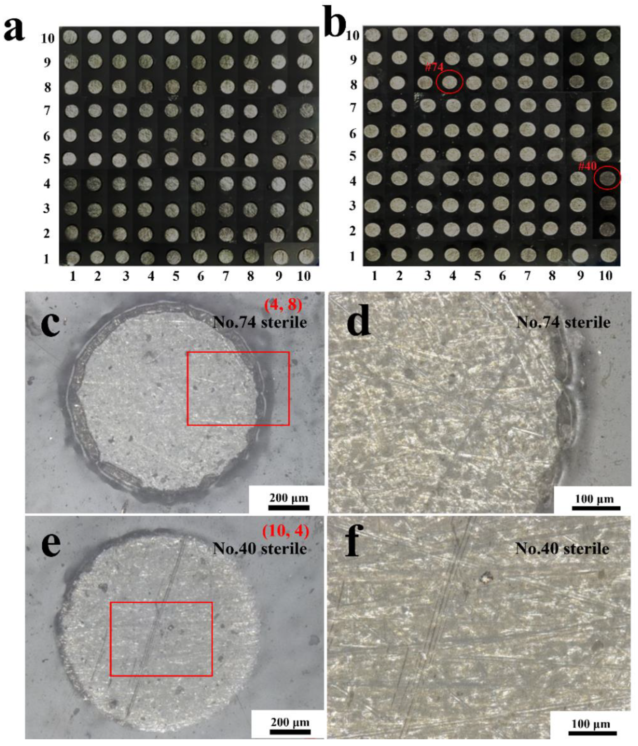 Materials 16 01402 g009
