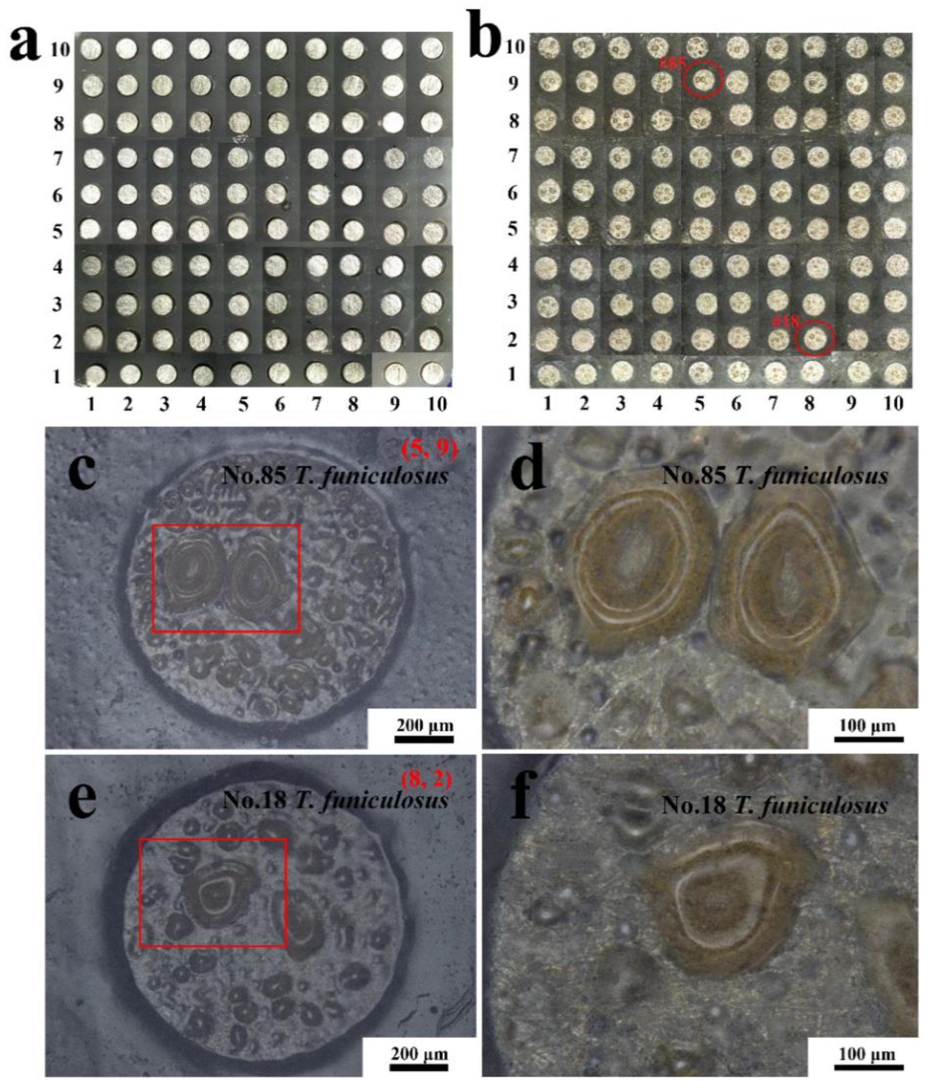 Materials 16 01402 g010