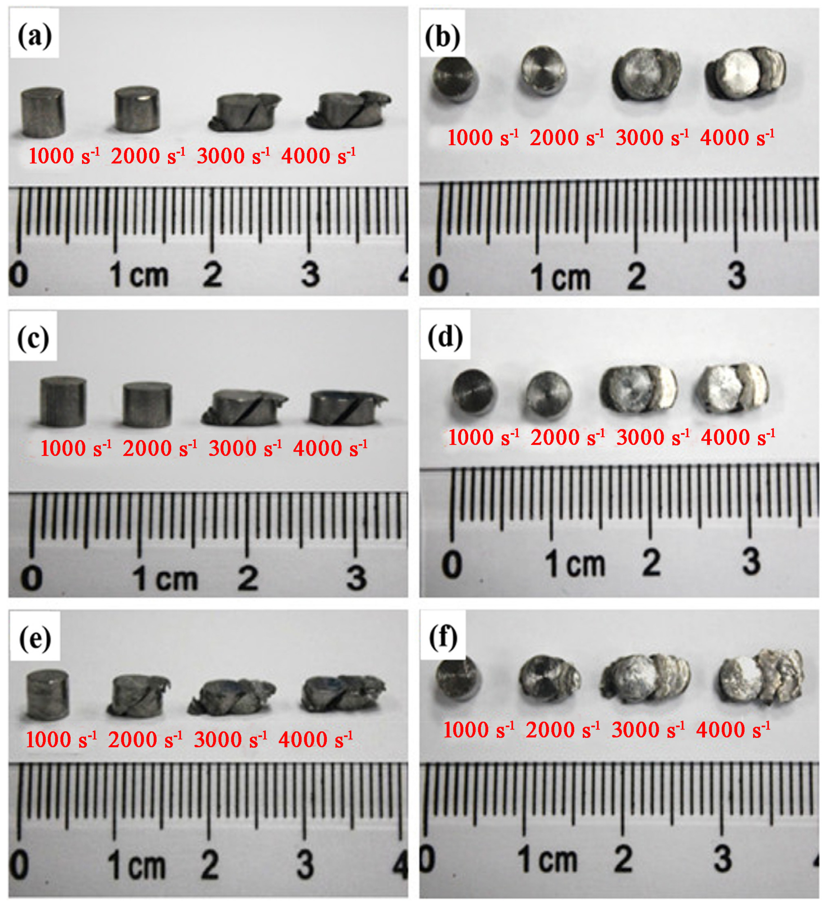 Materials 16 01406 g003 550