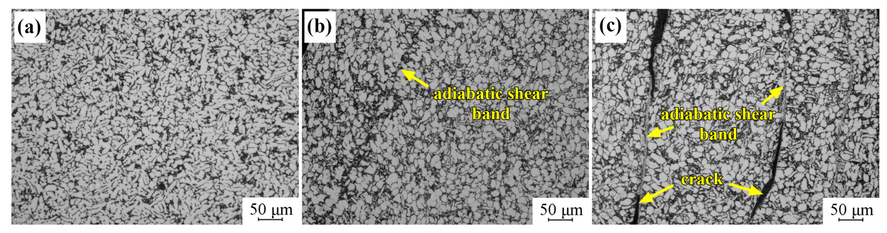 Materials 16 01406 g007 550