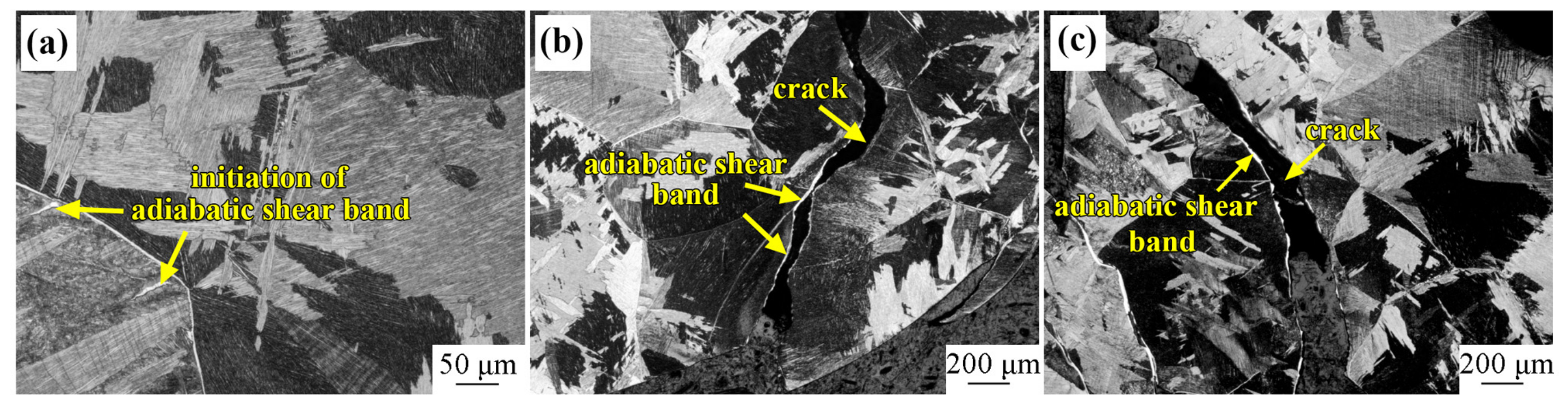 Materials 16 01406 g009 550