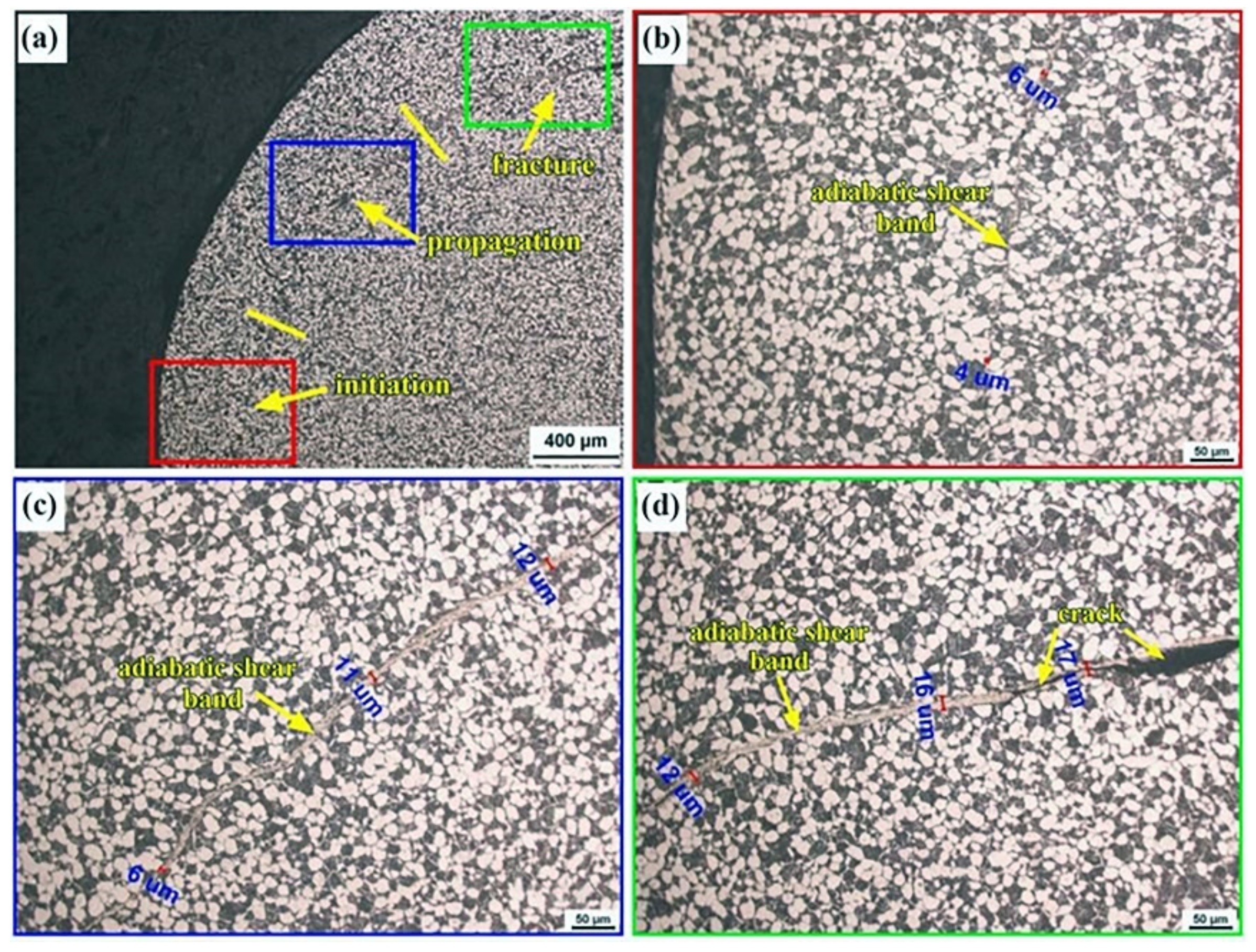 Materials 16 01406 g010 550