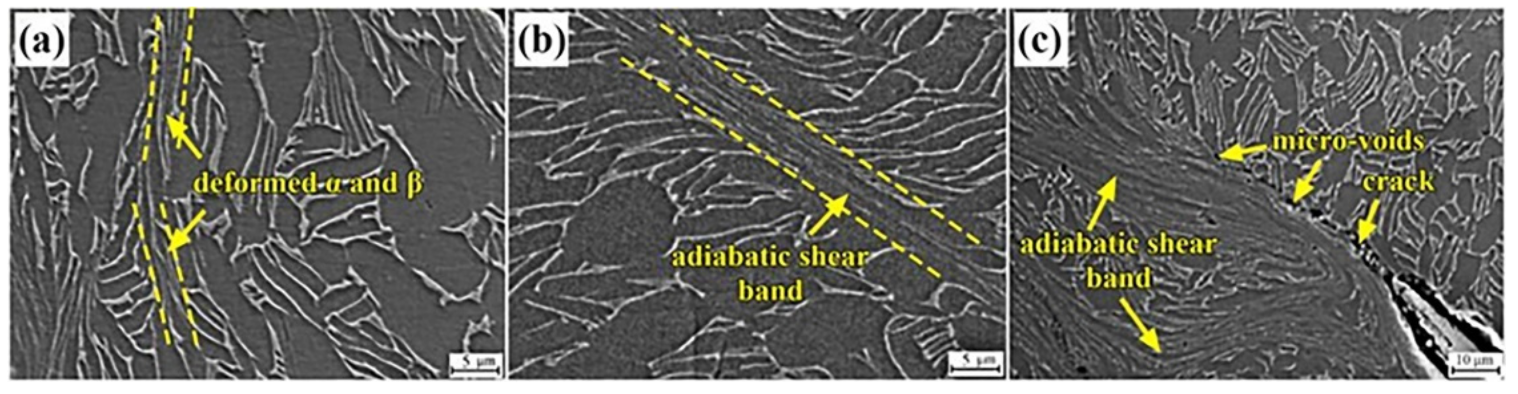 Materials 16 01406 g011 550