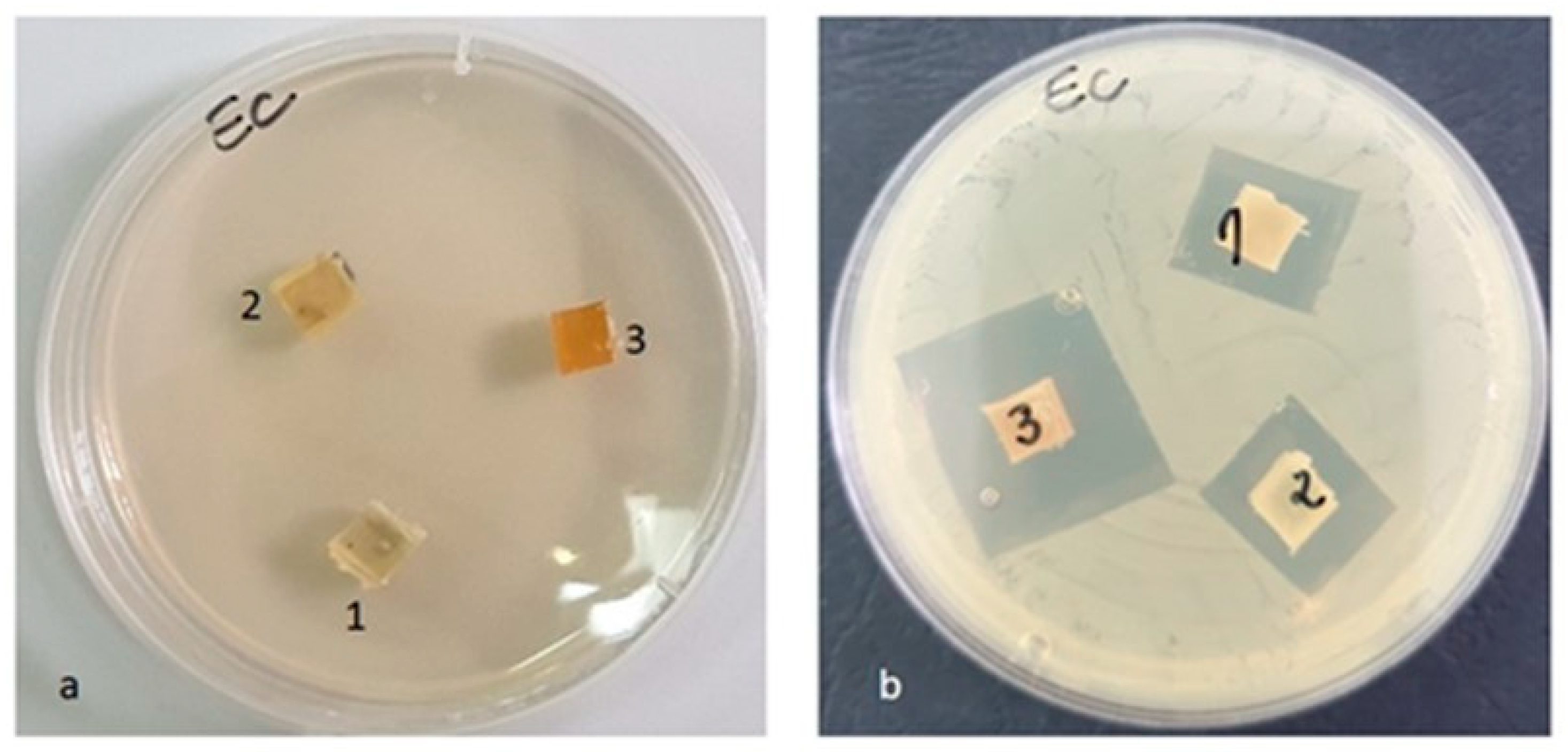 Materials 16 01415 g015