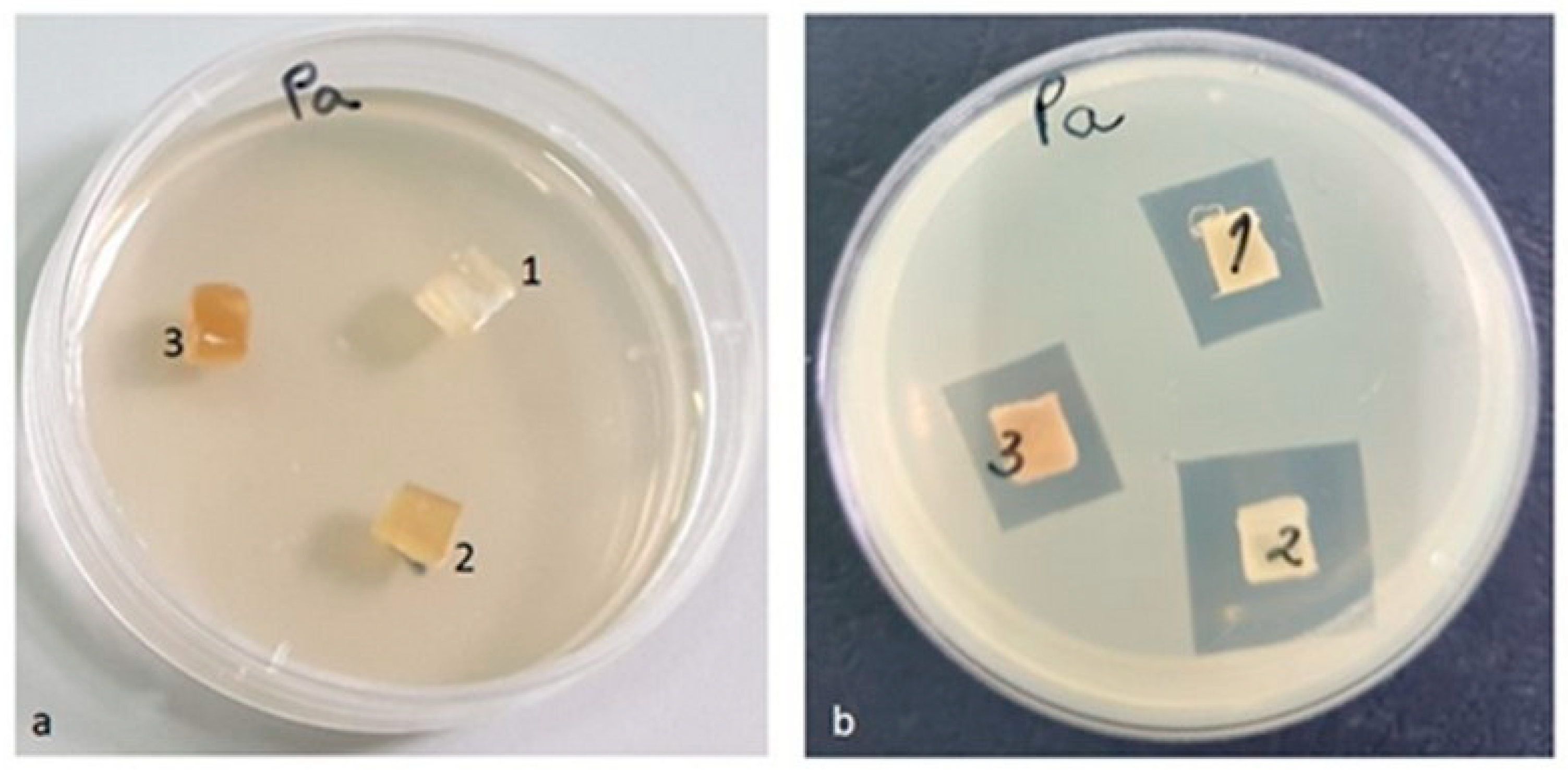 Materials 16 01415 g017