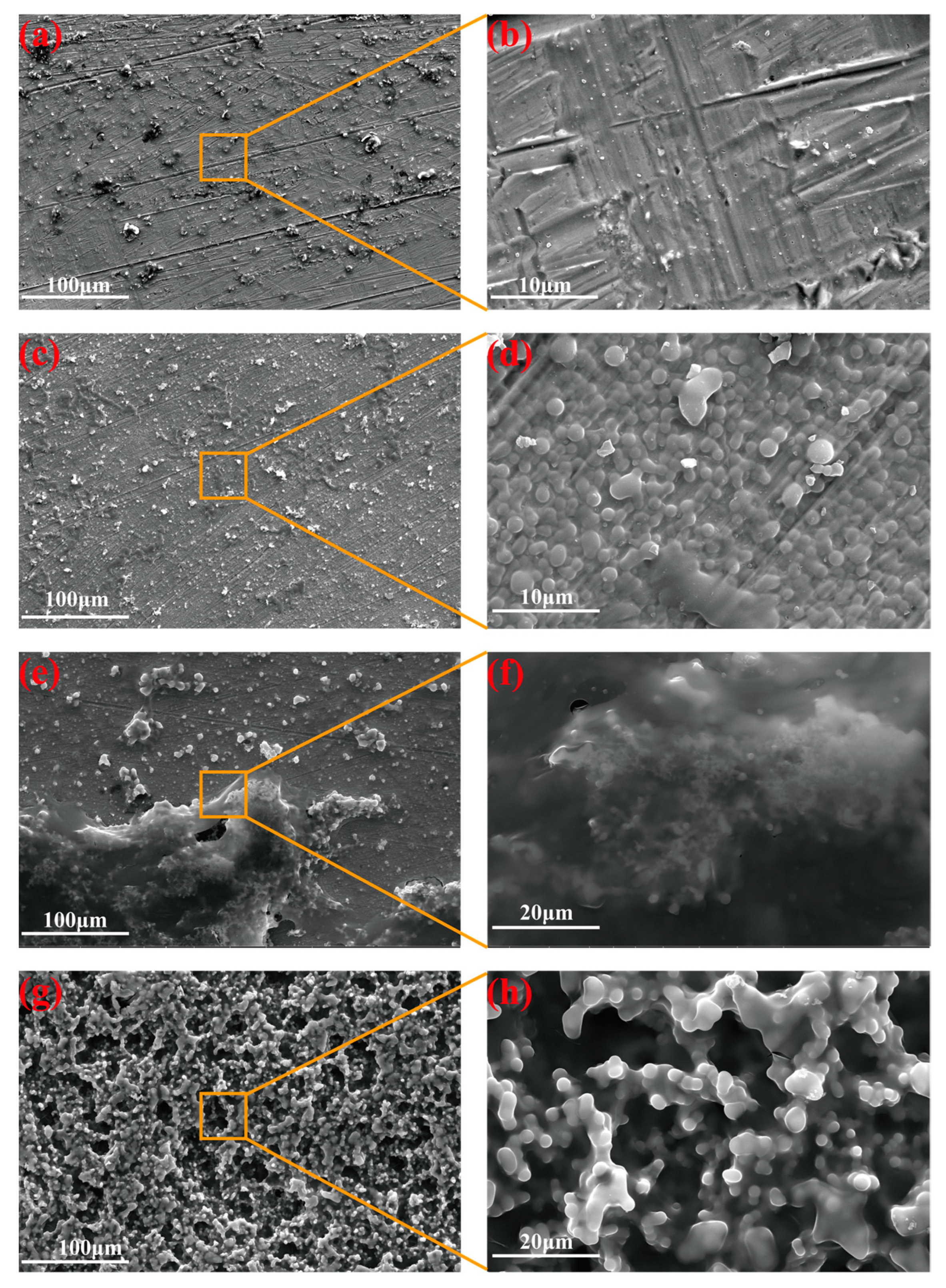 Materials 16 01417 g003 550