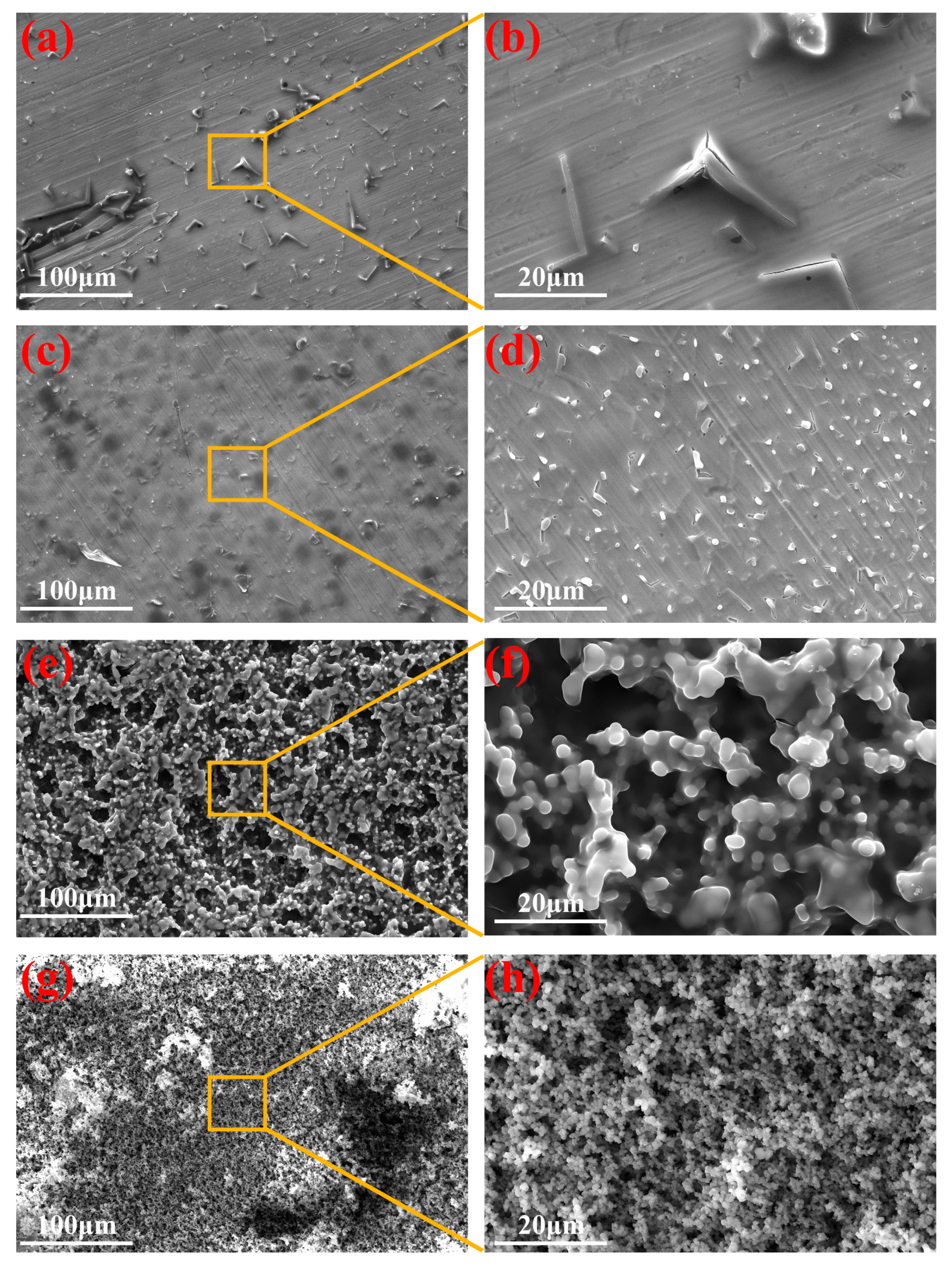 Materials 16 01417 g004 550