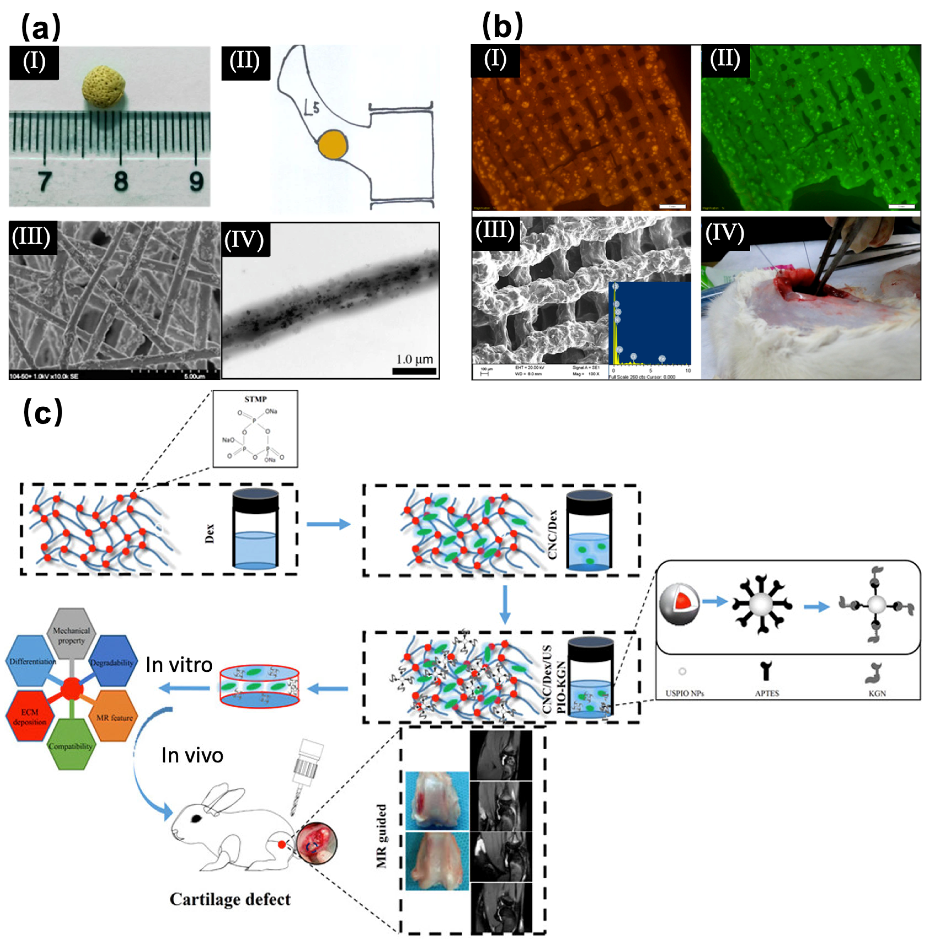 Materials 16 01429 g004 Materials 16 01429 g004