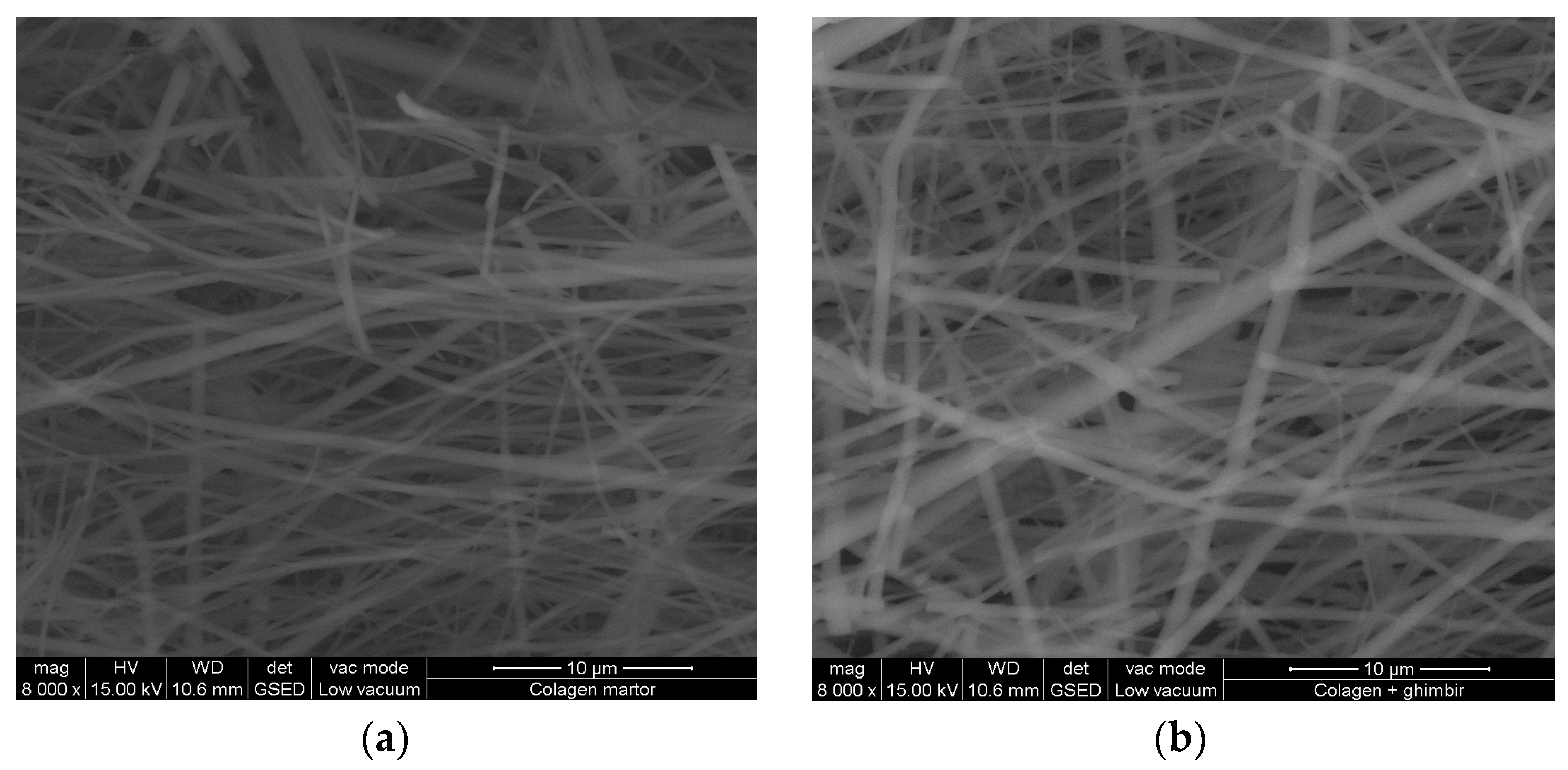 Materials 16 01438 g005 Materials 16 01438 g005