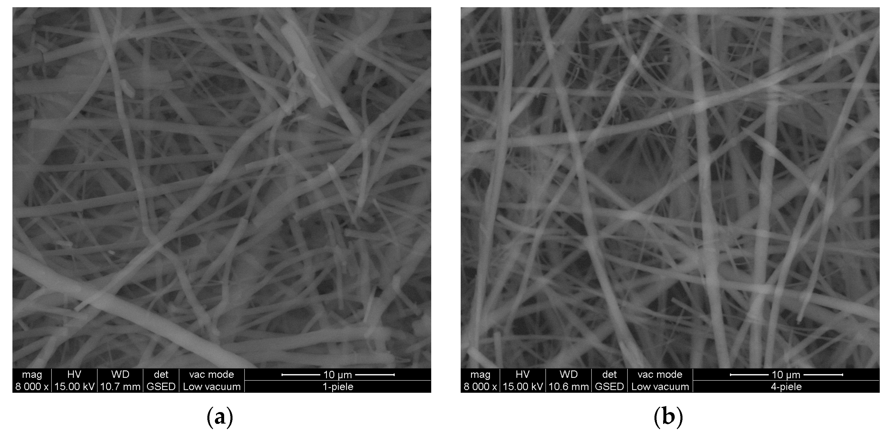 Materials 16 01438 g006 Materials 16 01438 g006