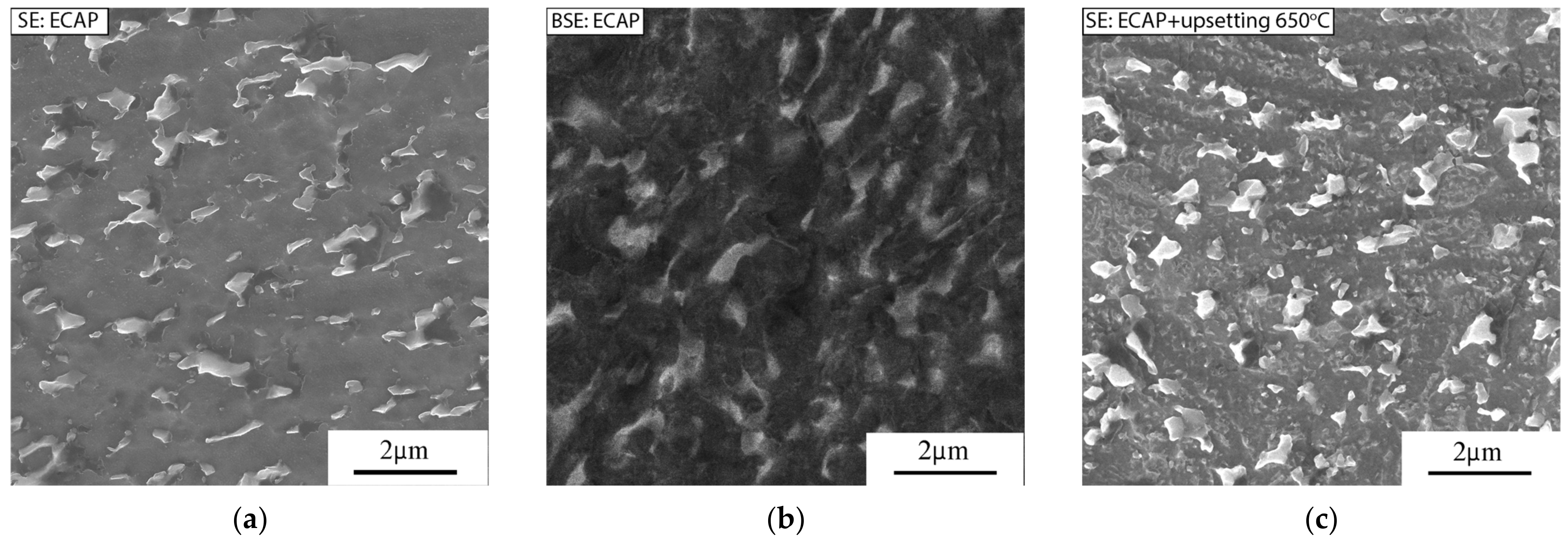 Materials 16 01439 g003a 550