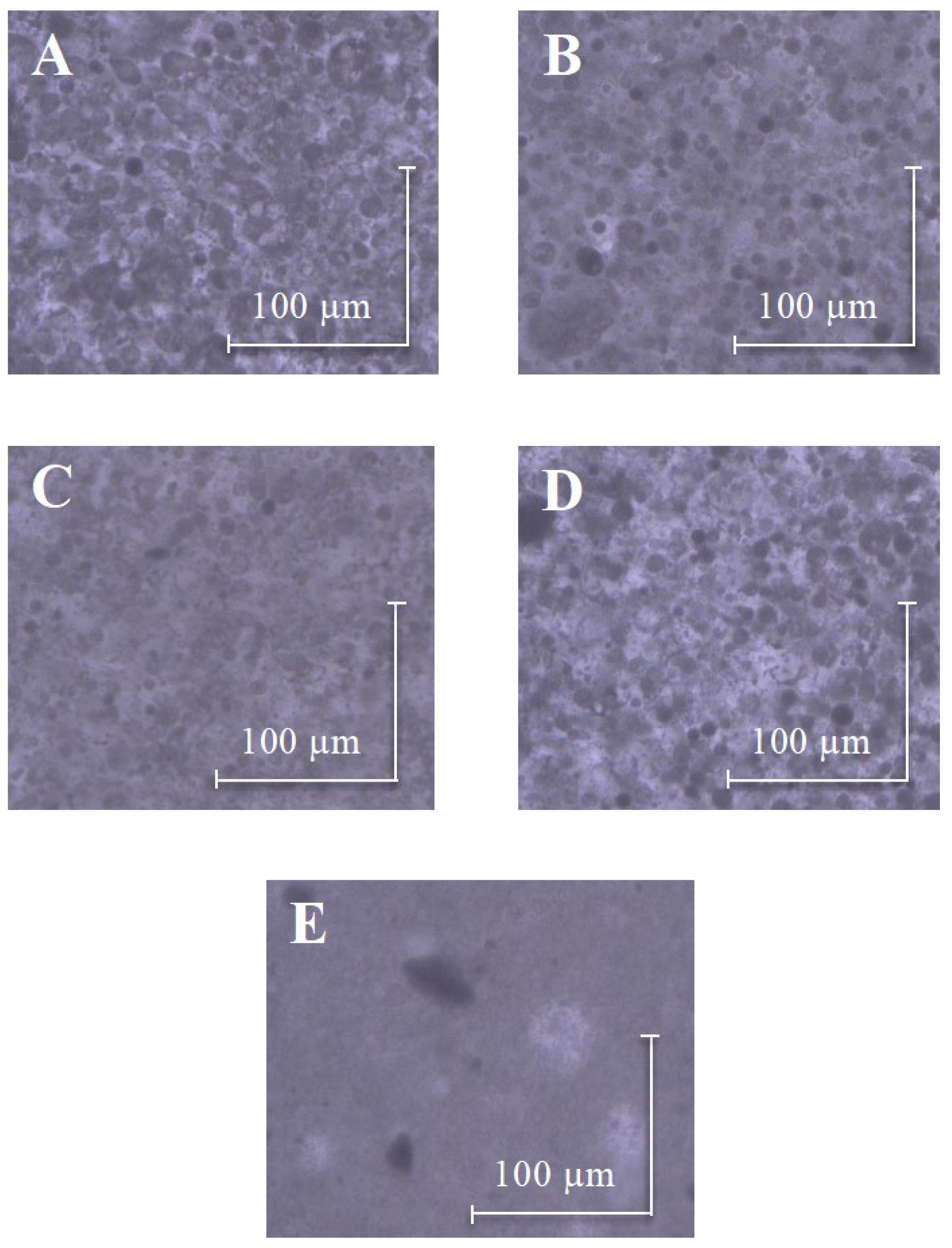 Materials 16 01442 g009 Materials 16 01442 g009
