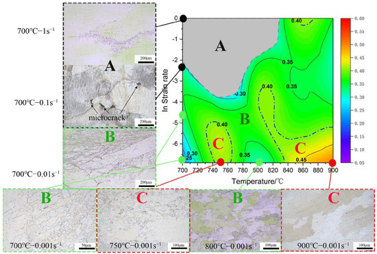 Experimental and Numerical Studies on Hot Compressive