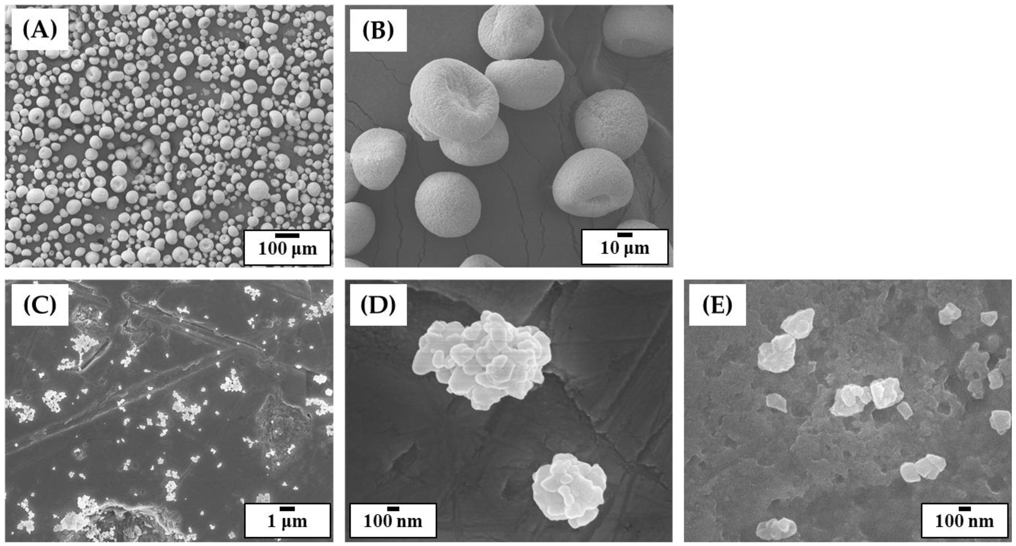 Materials 16 01447 g004