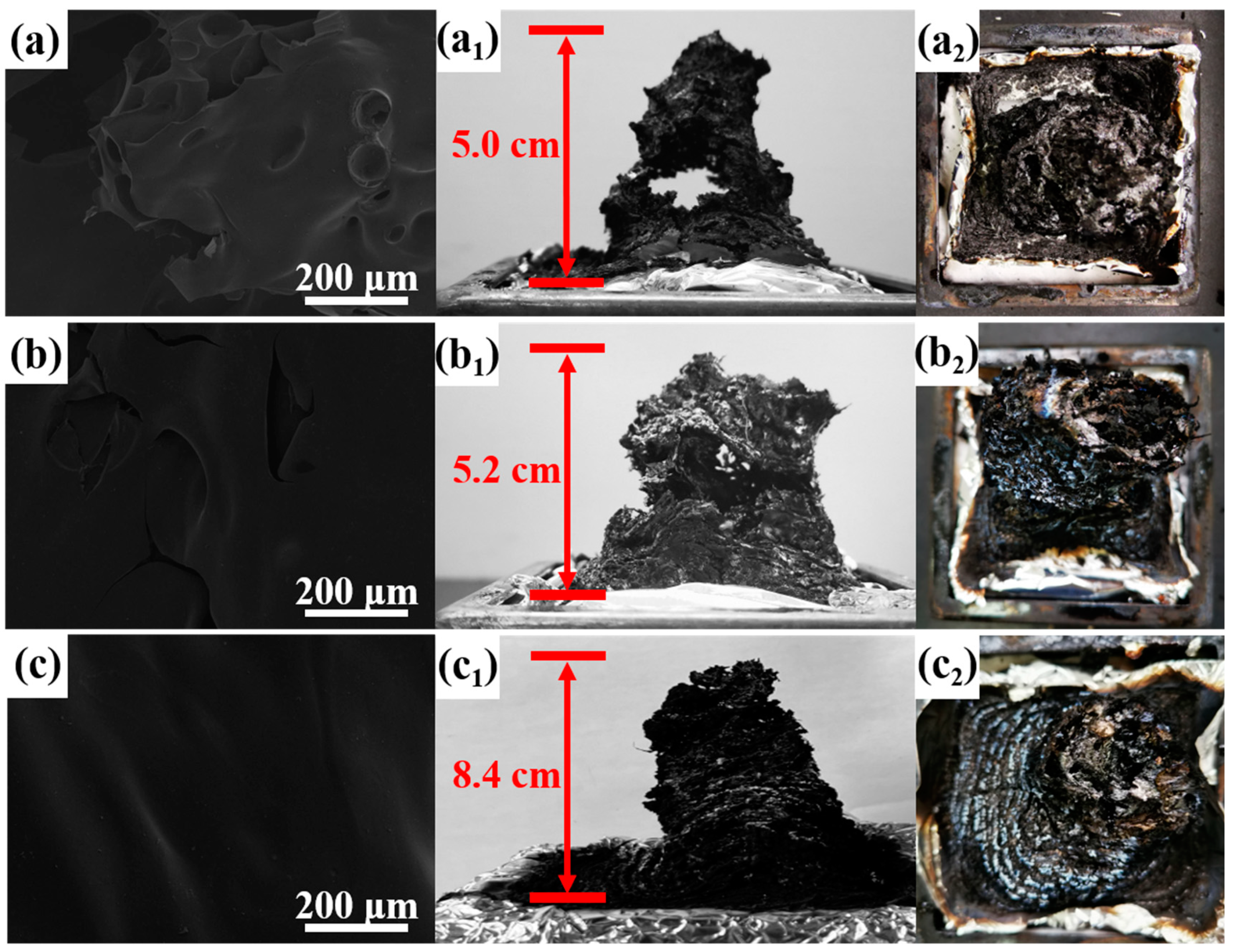 Materials 16 01449 g004