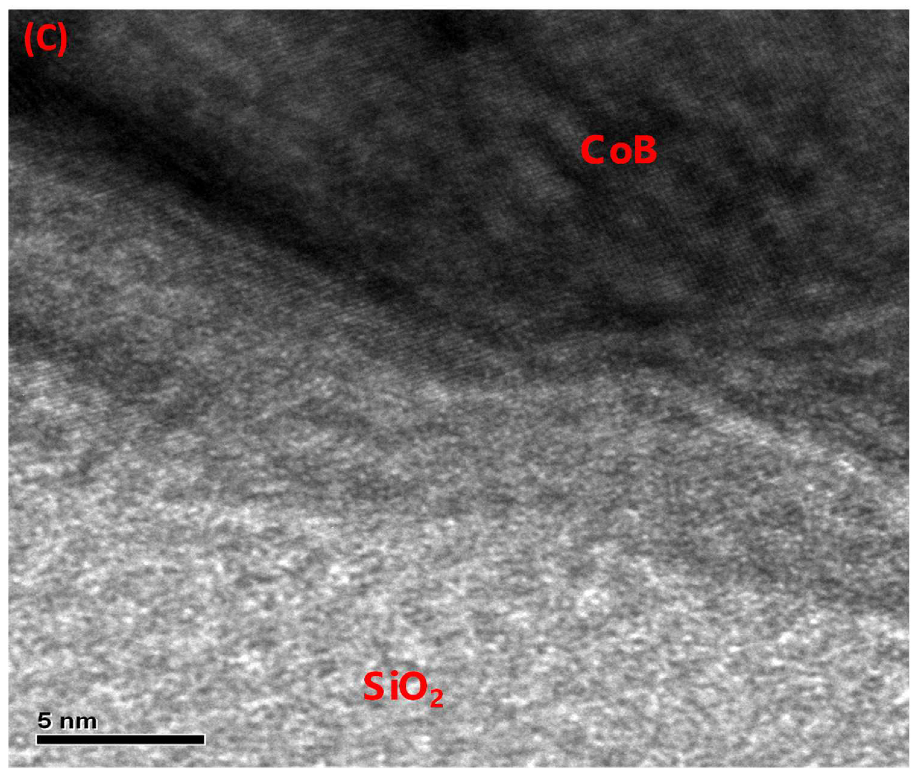 Materials 16 01452 g002b 550