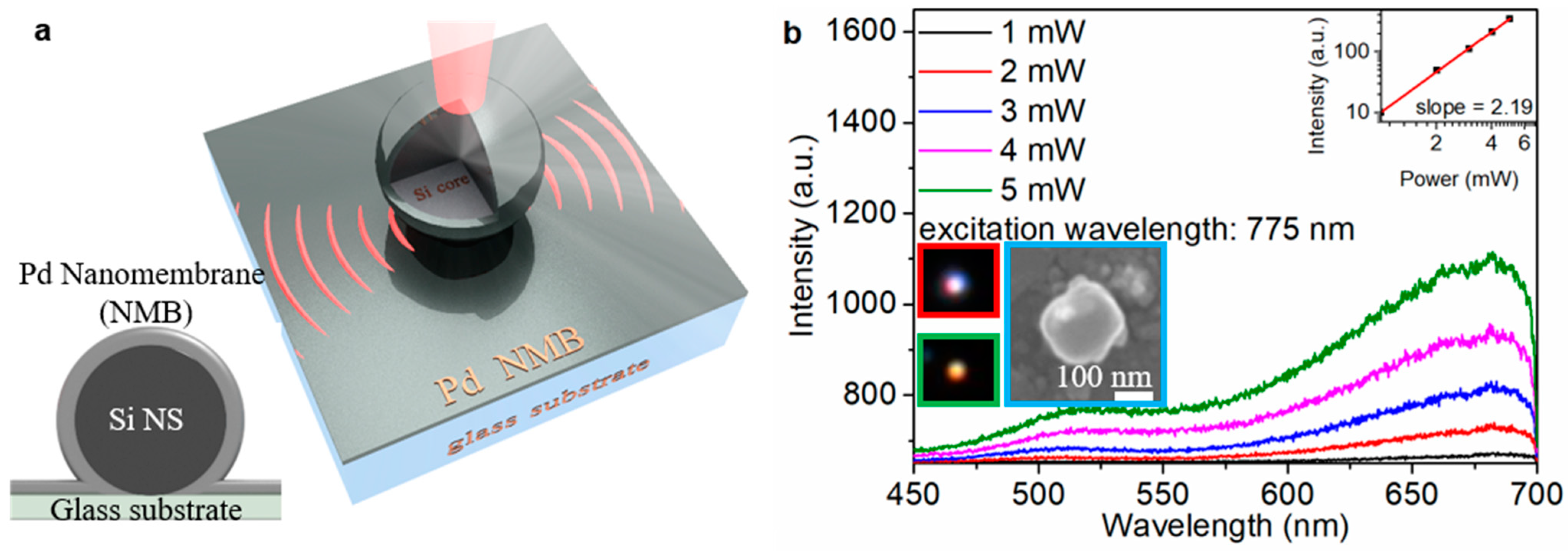 Materials 16 01453 g002