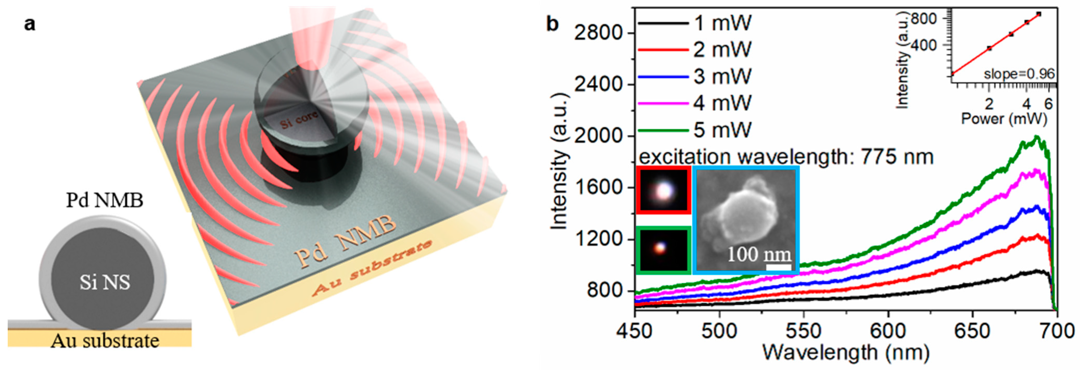 Materials 16 01453 g005