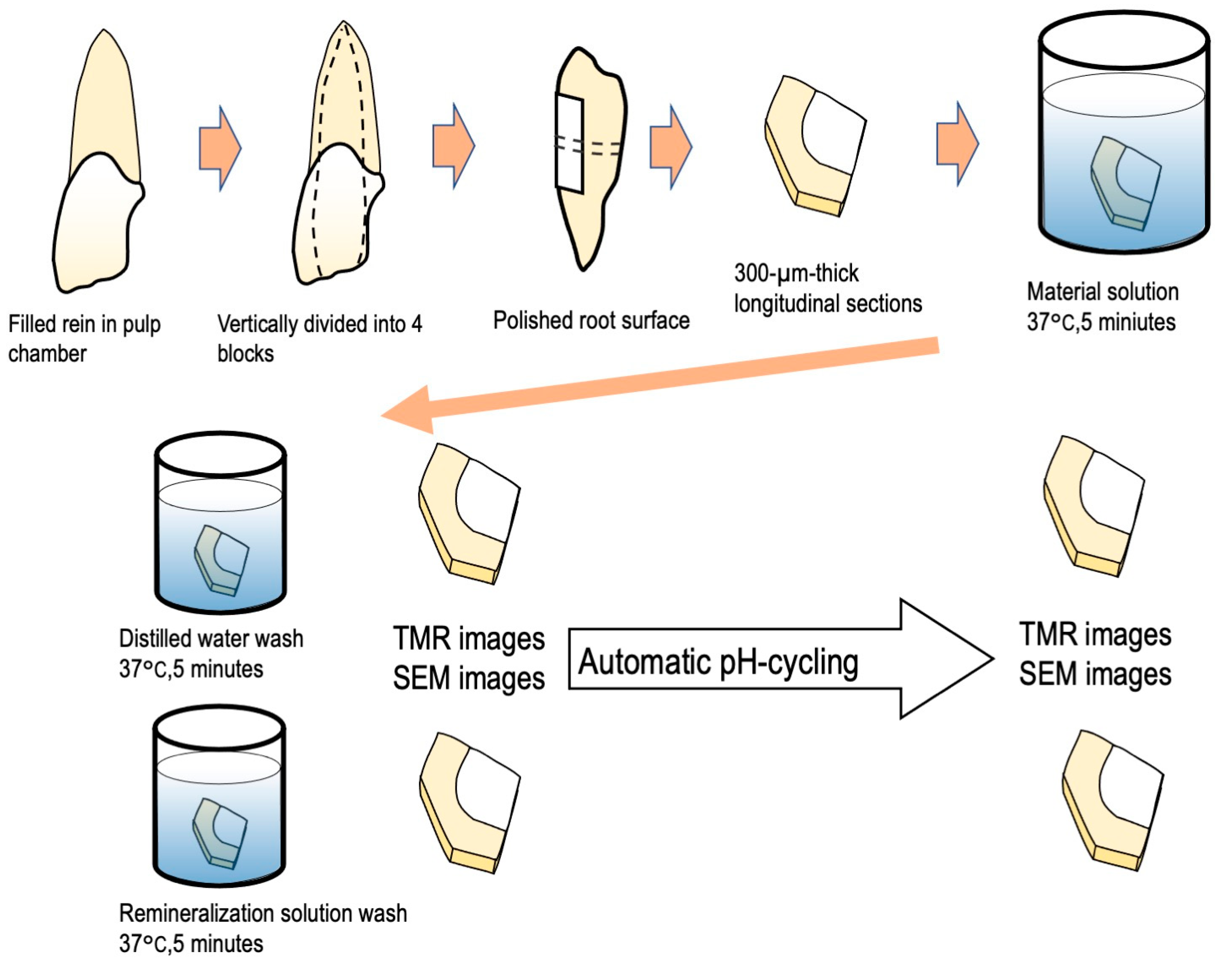Materials 16 01454 g001