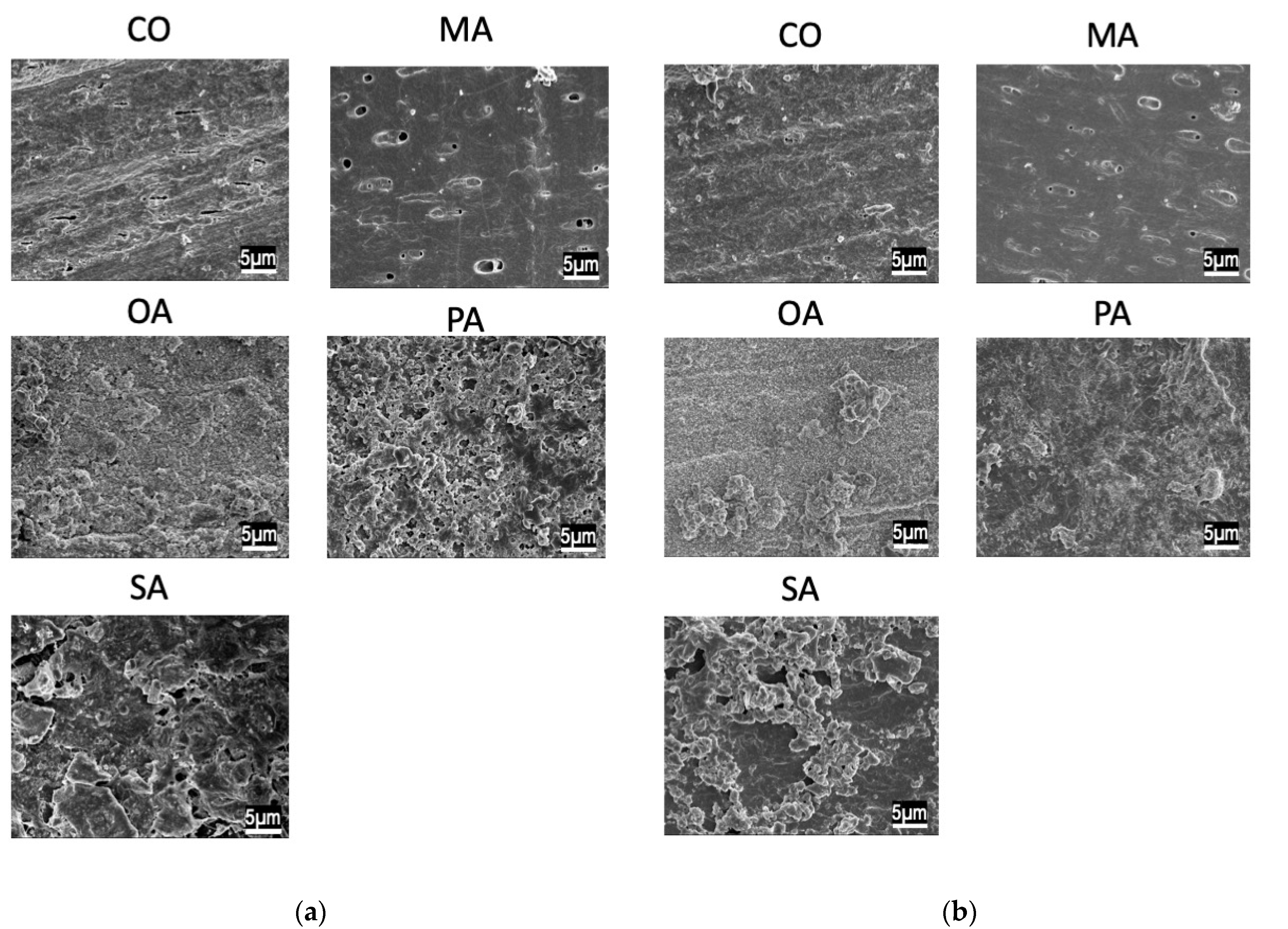 Materials 16 01454 g003