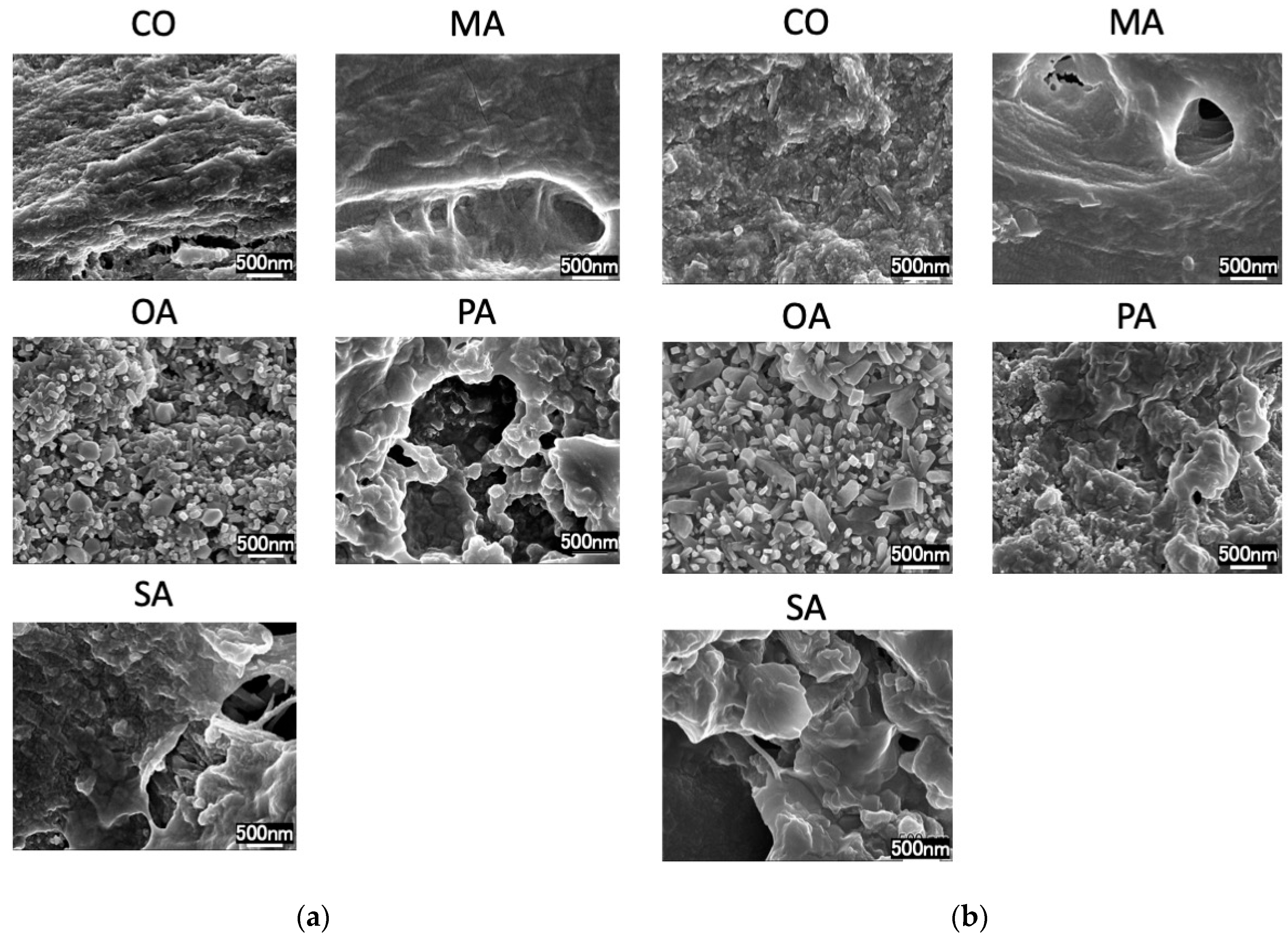 Materials 16 01454 g004