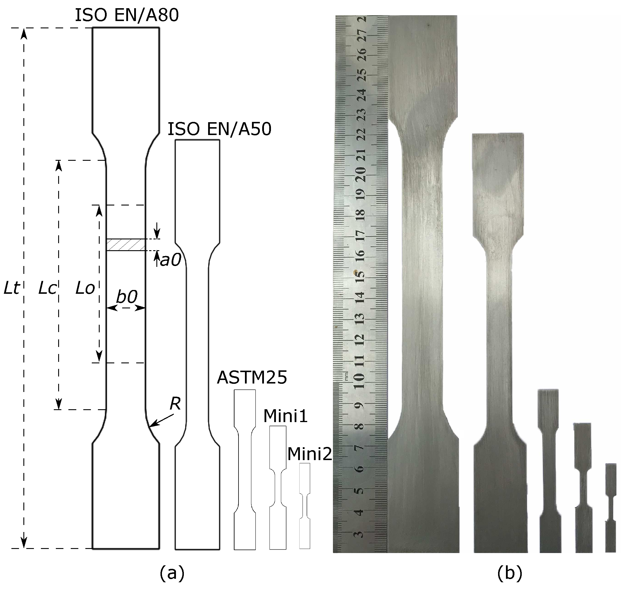Materials 16 01458 g003