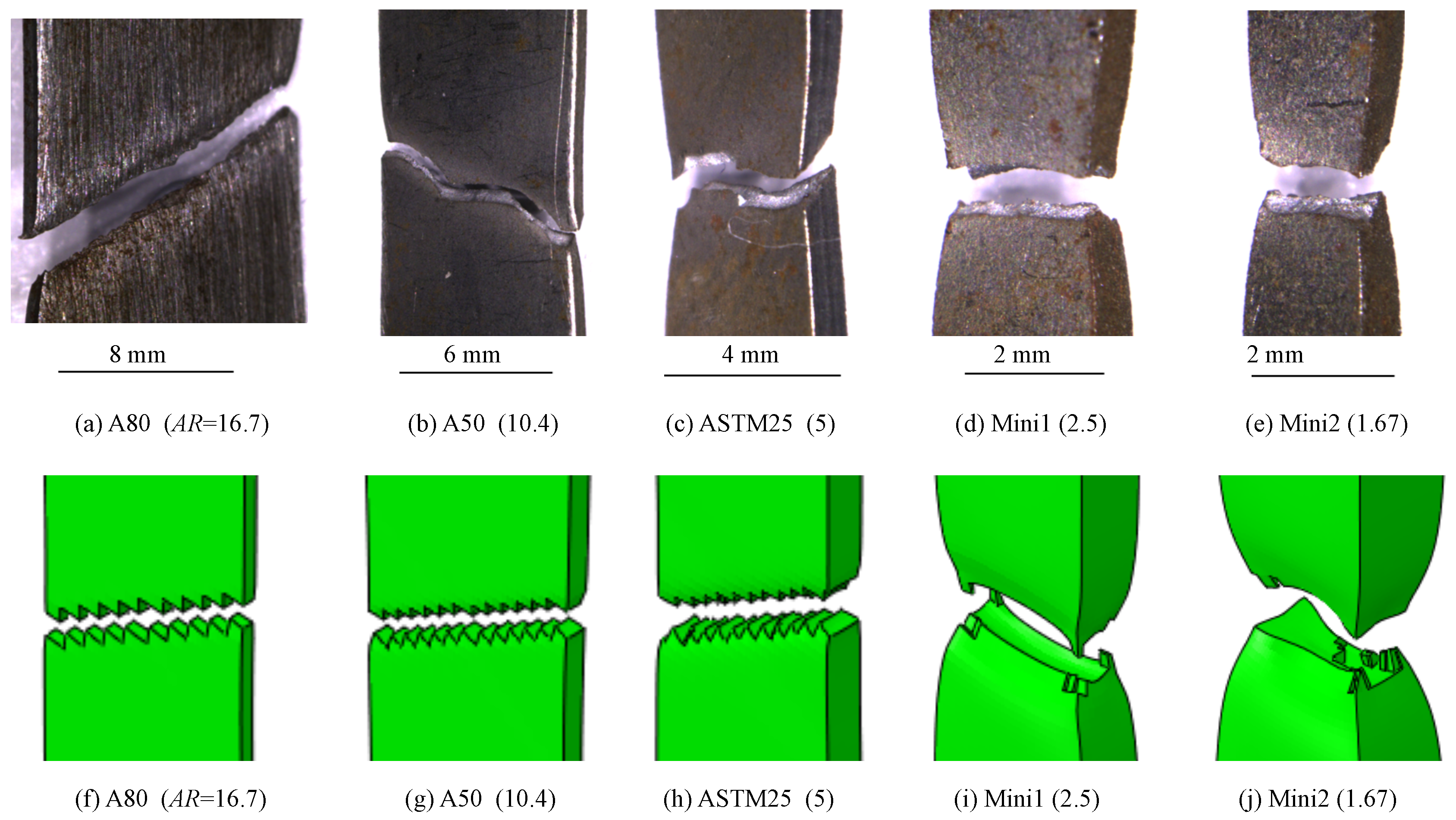 Materials 16 01458 g012