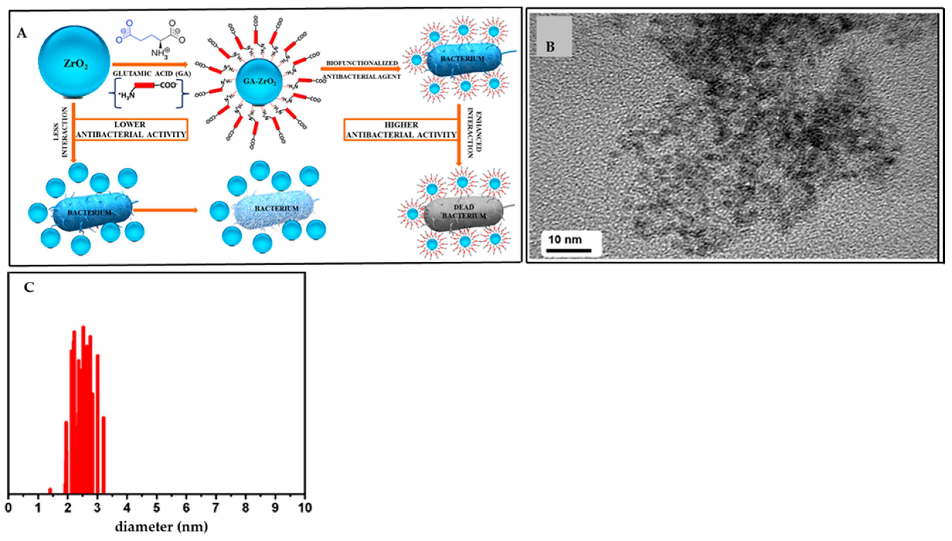 Materials 16 01460 g002