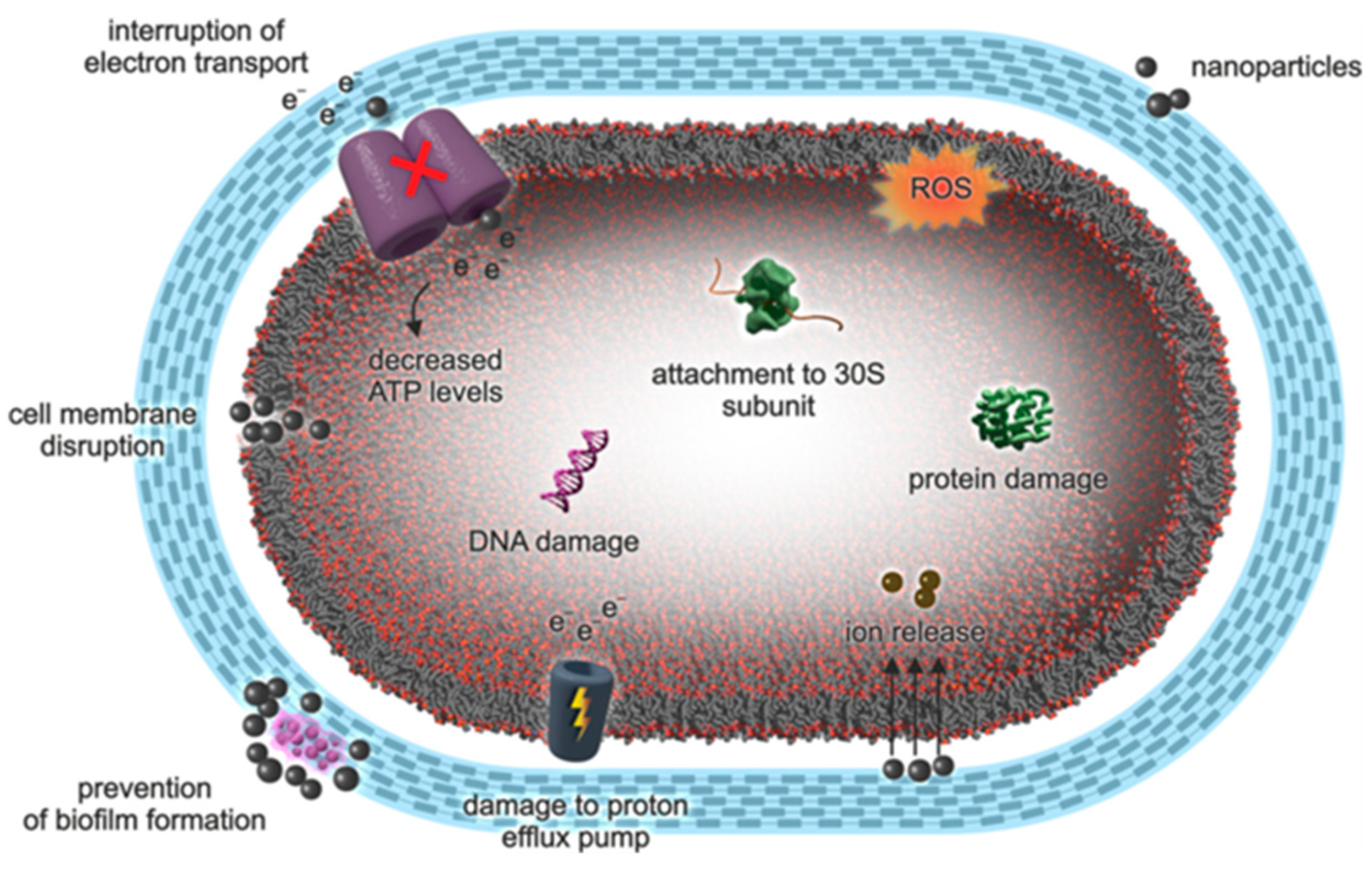 Materials 16 01460 g006