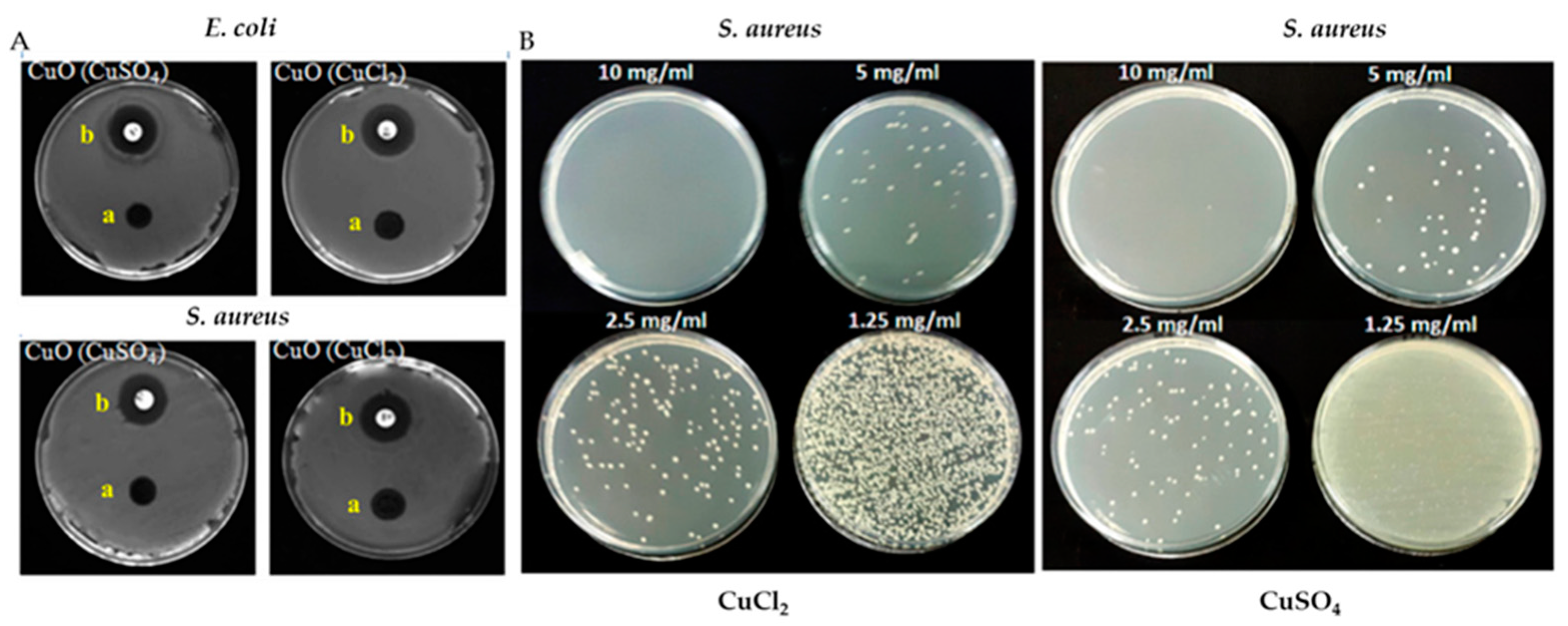 Materials 16 01460 g007
