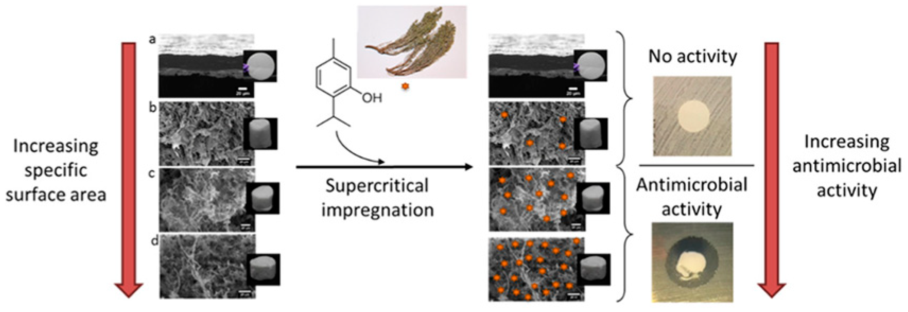 Materials 16 01460 g009