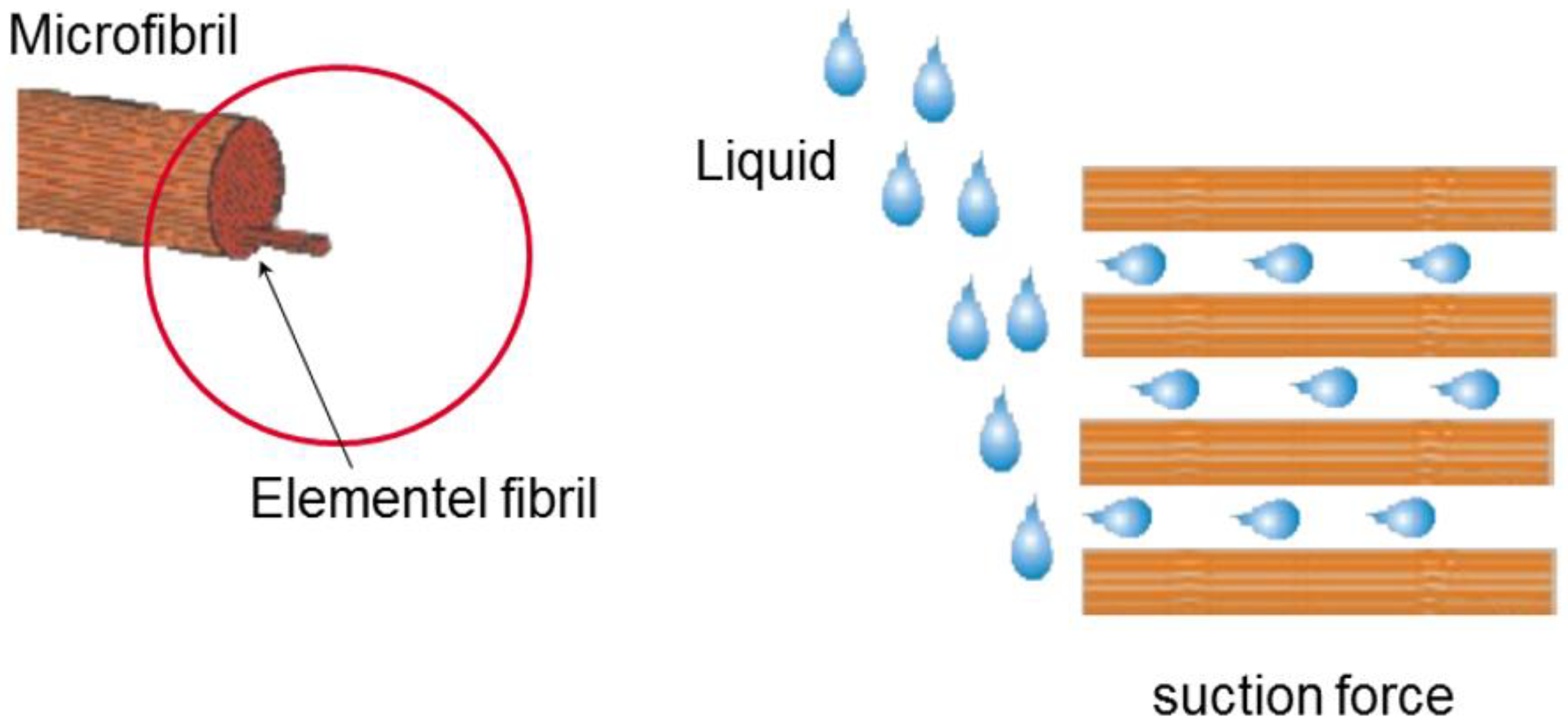 Materials 16 01472 g016 550