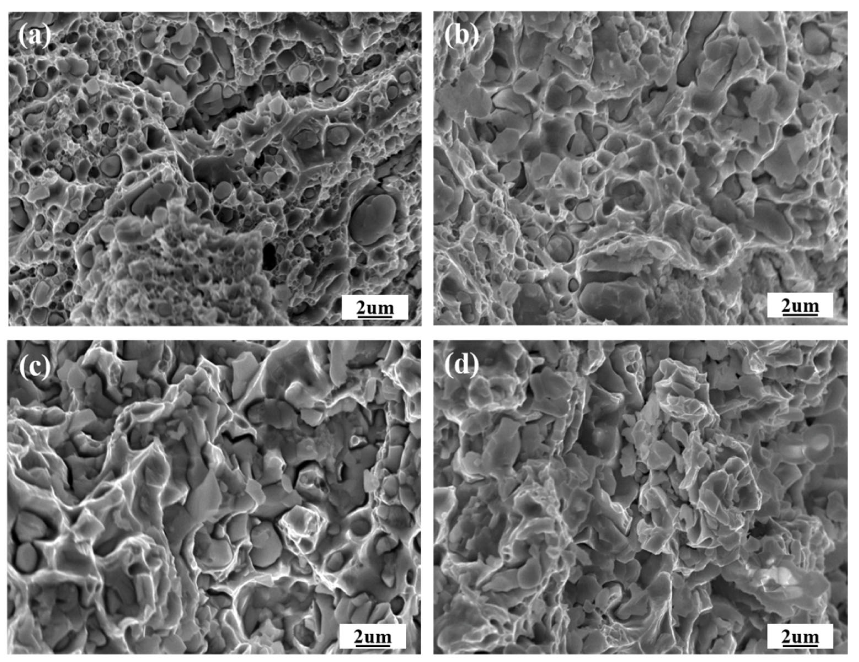 Materials 16 01473 g012 Materials 16 01473 g012