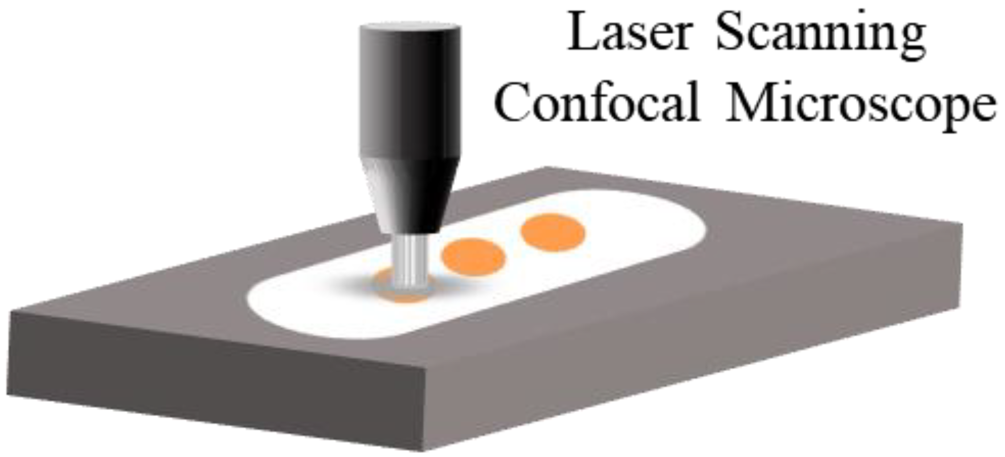 Materials 16 01477 g003 Materials 16 01477 g003