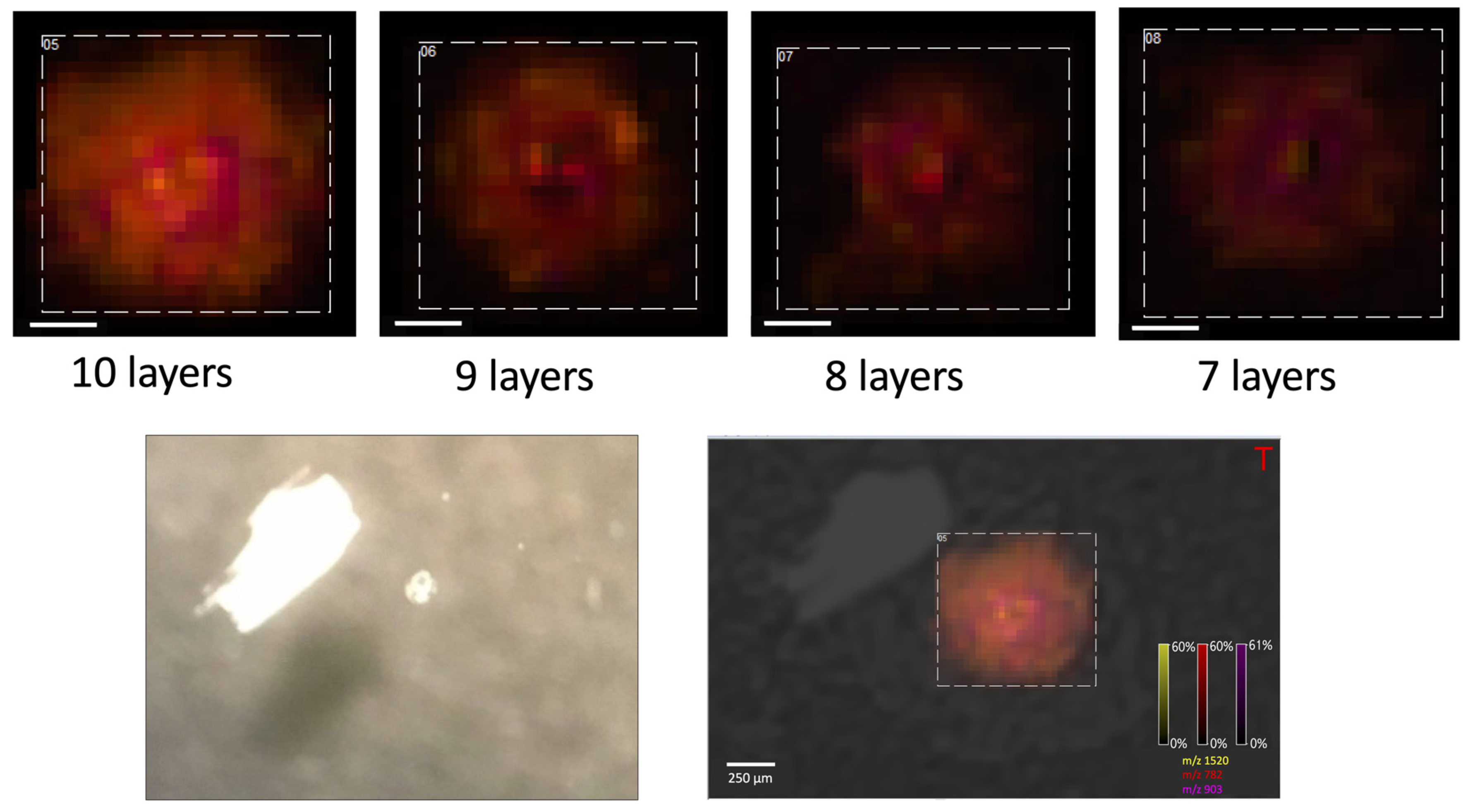 Materials 16 01479 g006 550