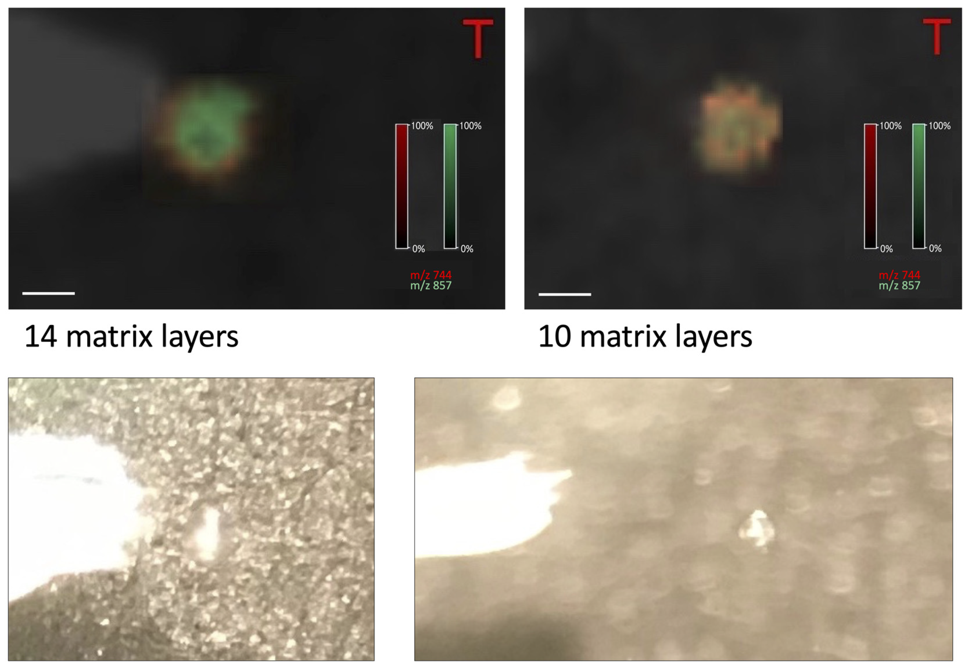 Materials 16 01479 g008 550