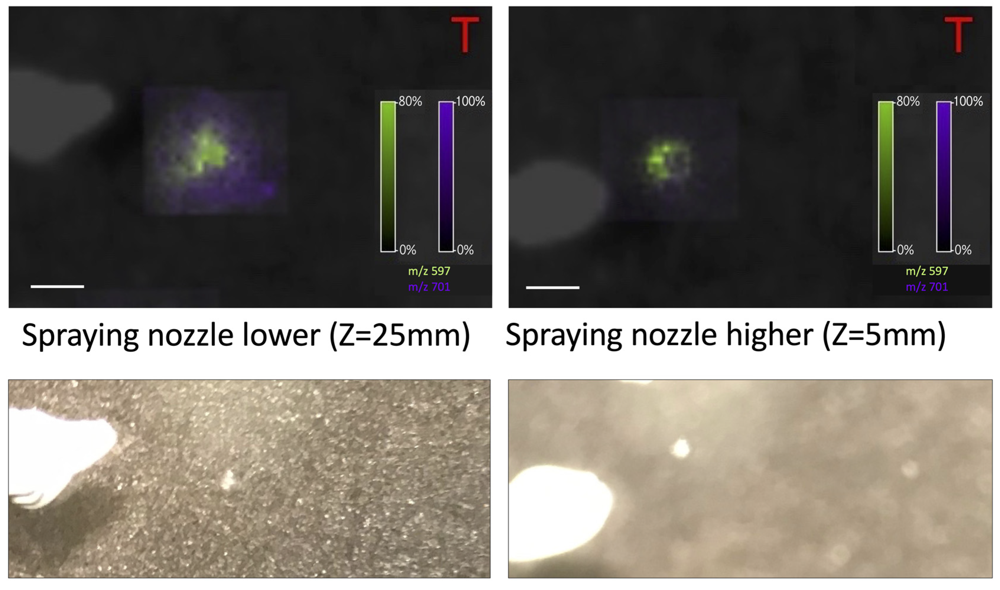 Materials 16 01479 g010 550