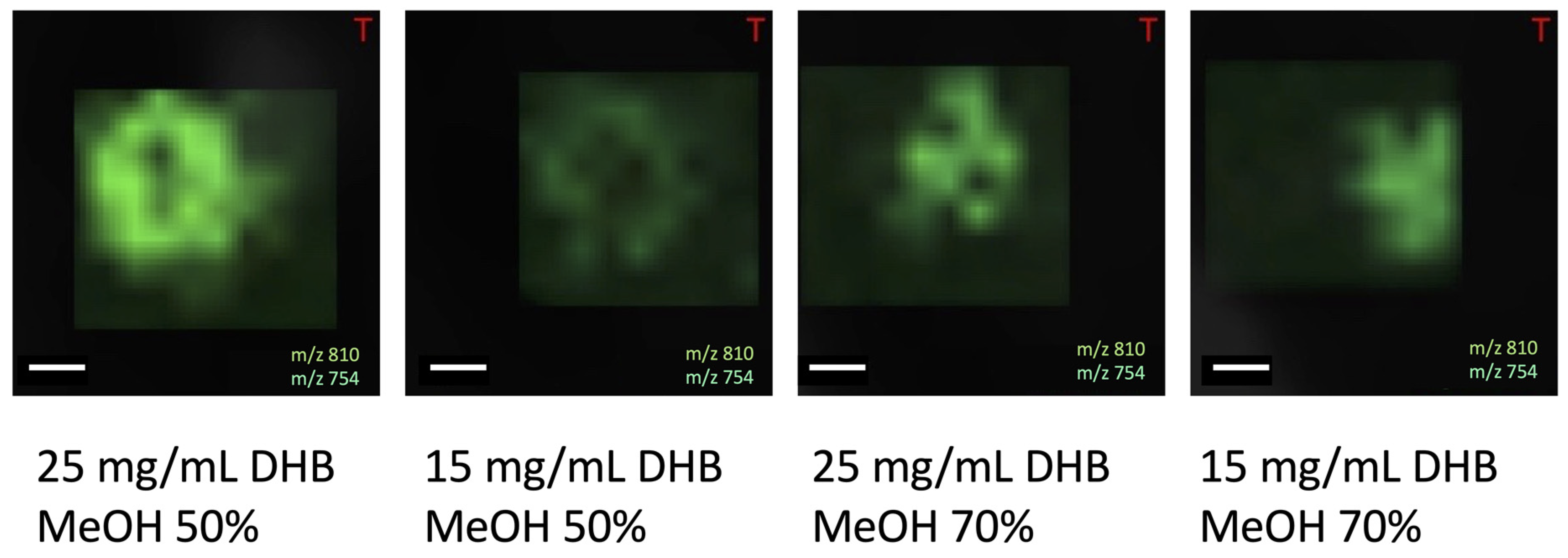 Materials 16 01479 g011 550