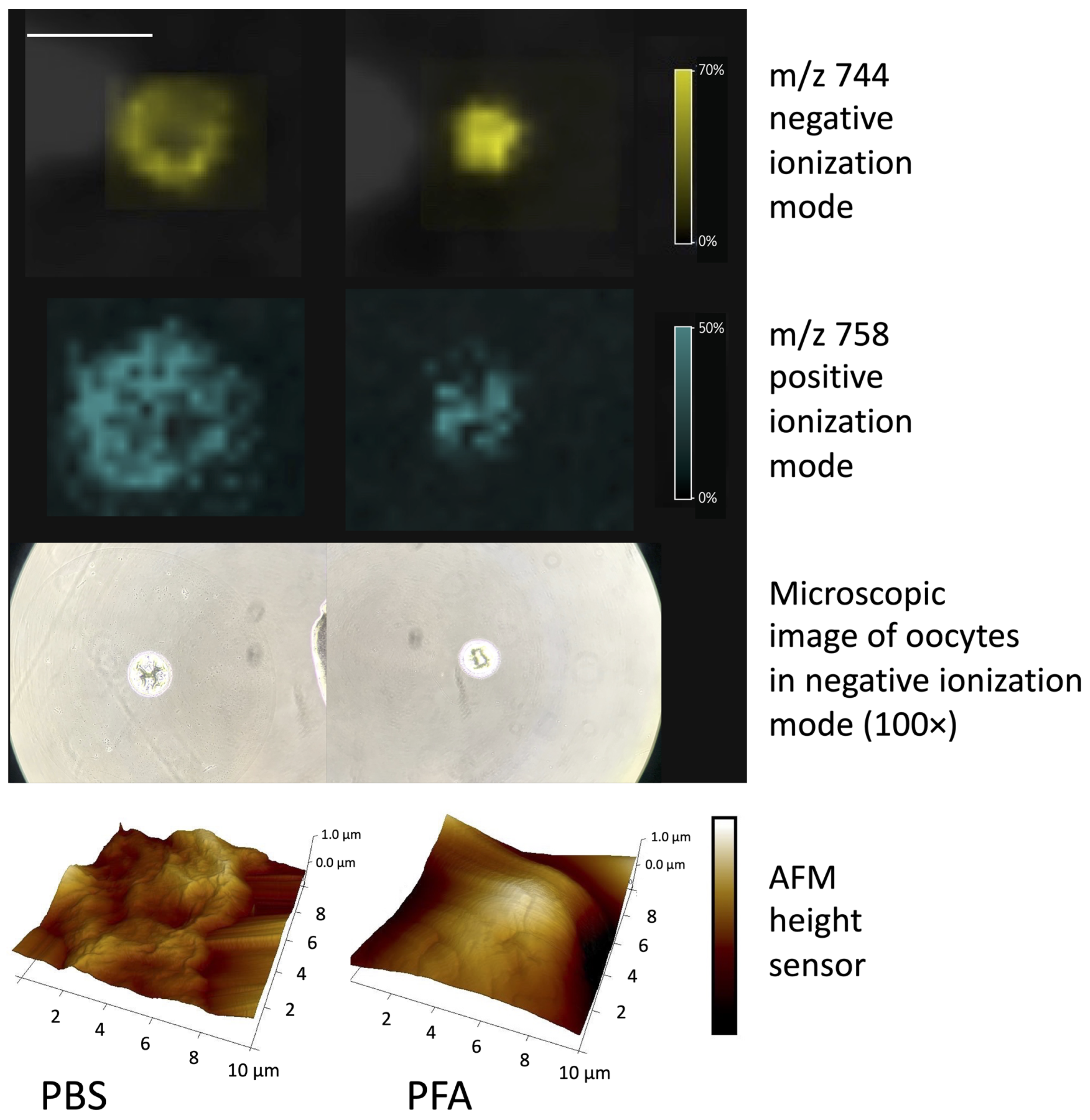 Materials 16 01479 g013 550