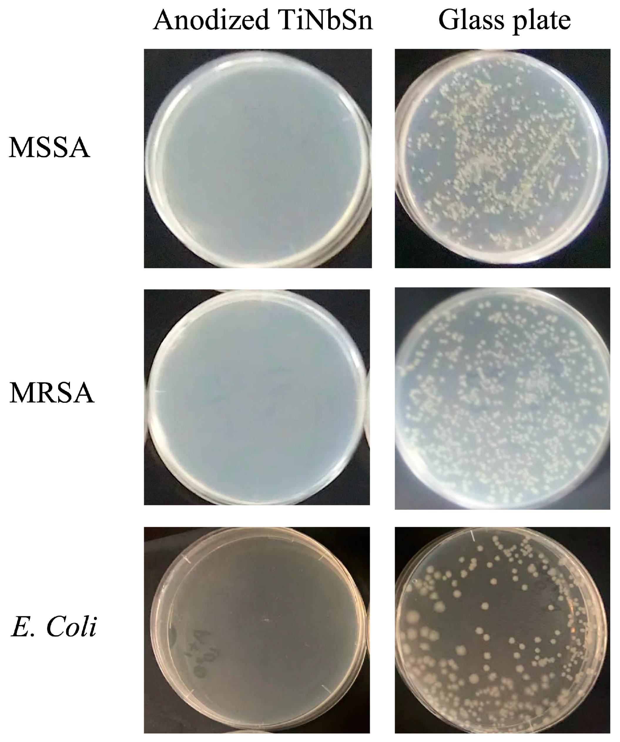 Materials 16 01487 g010