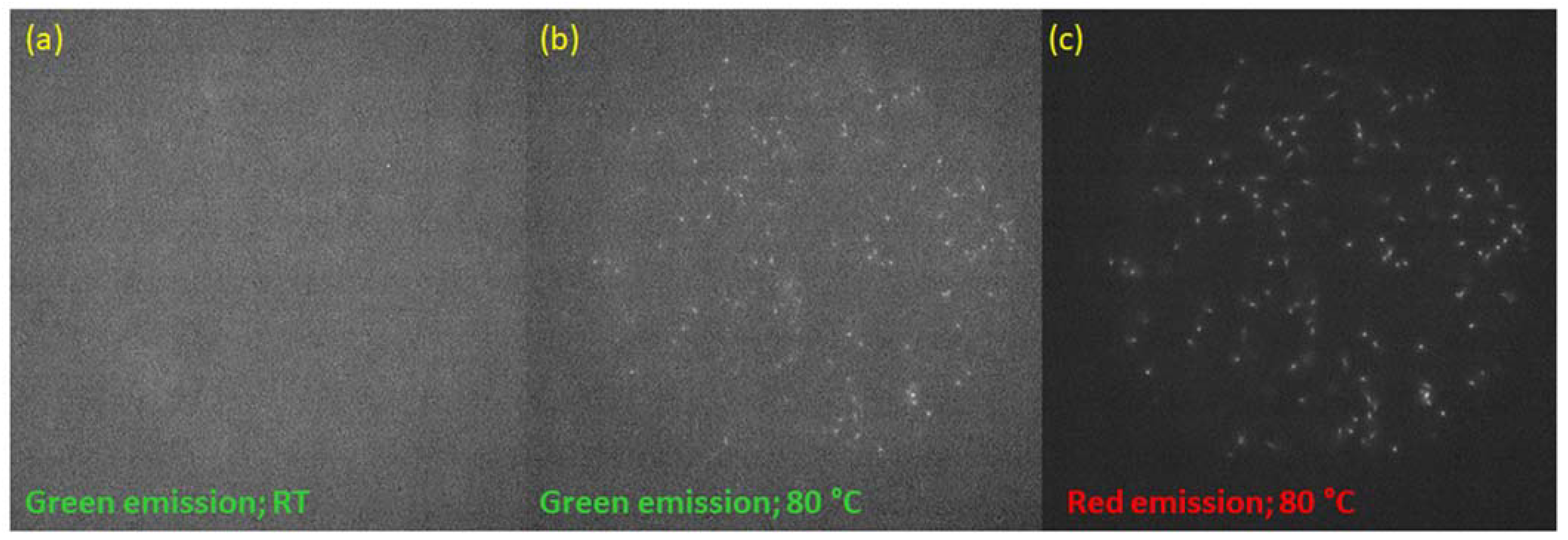 Materials 16 01489 g017