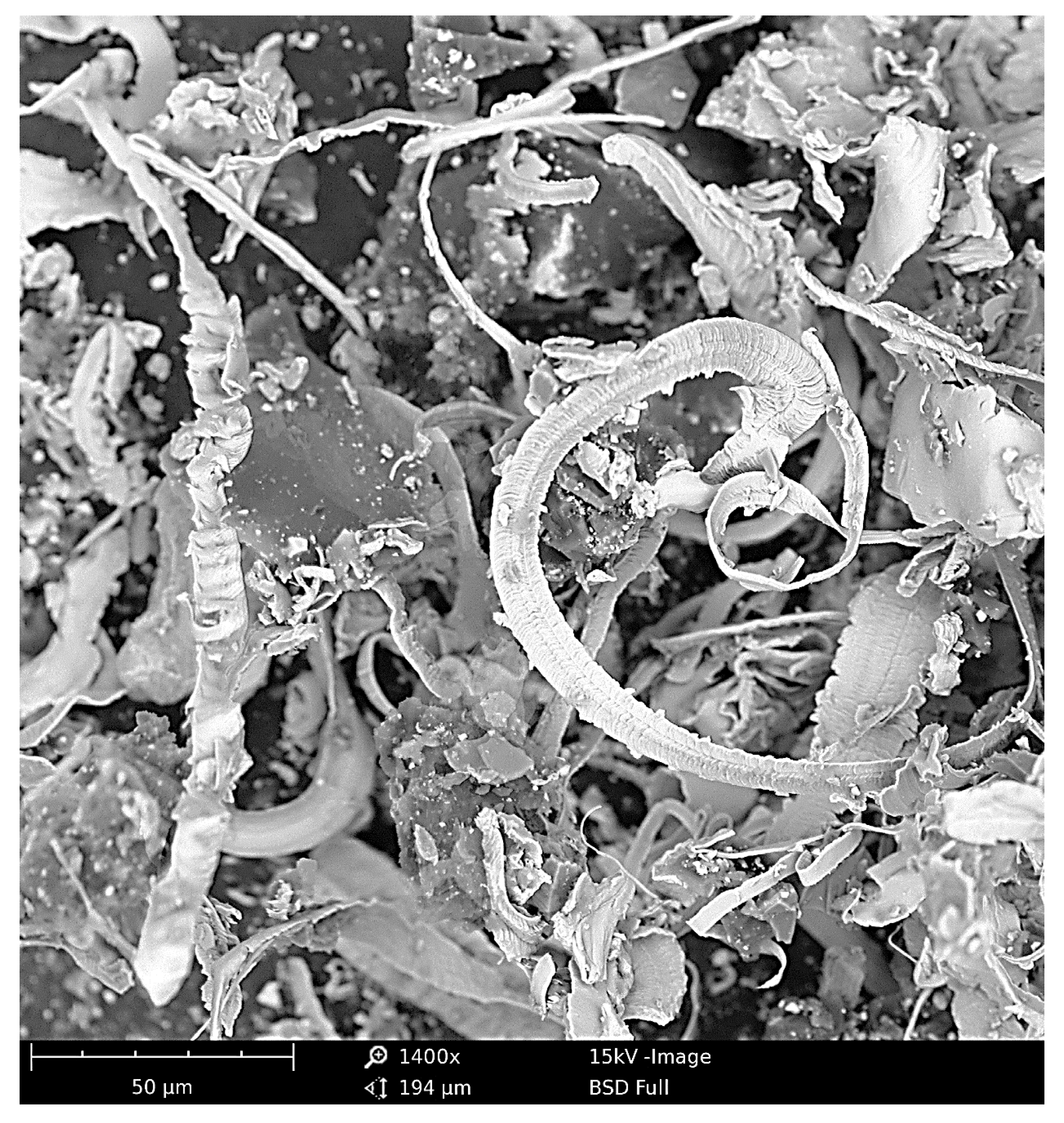 Materials 16 01493 g003